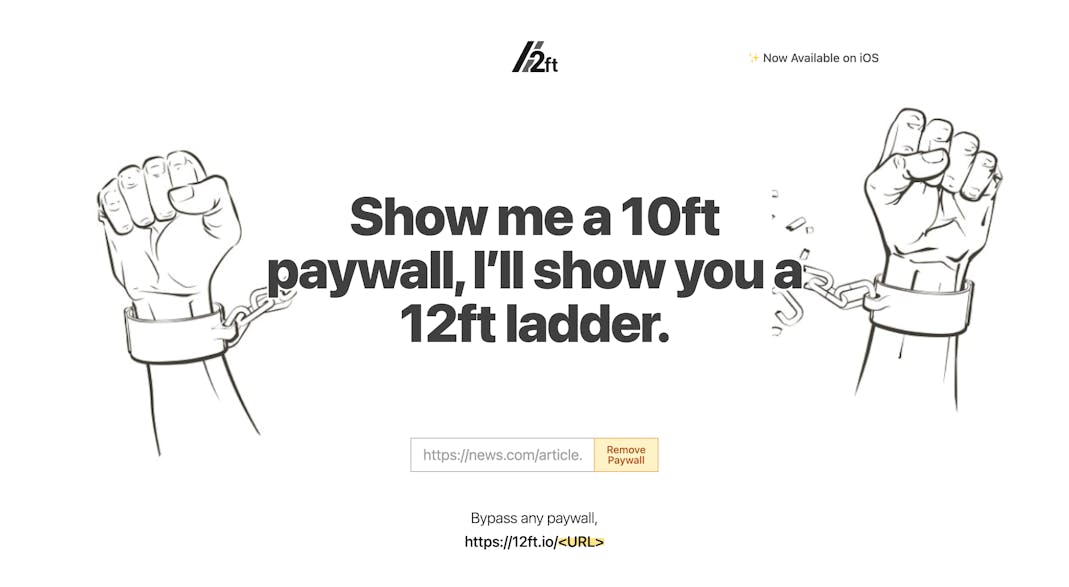 12 Foot Ladder screenshot