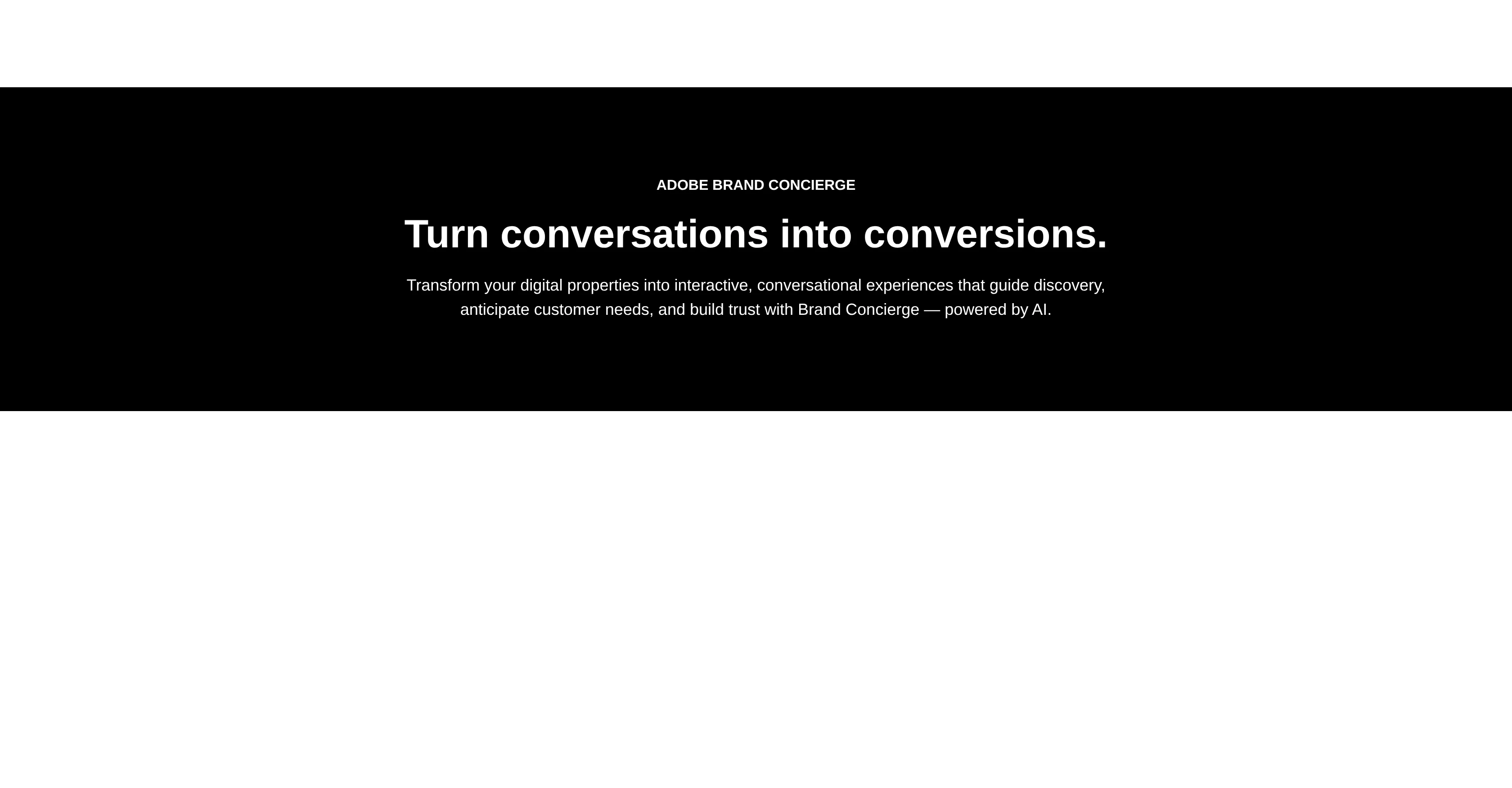Adobe Brand Concierge screenshot