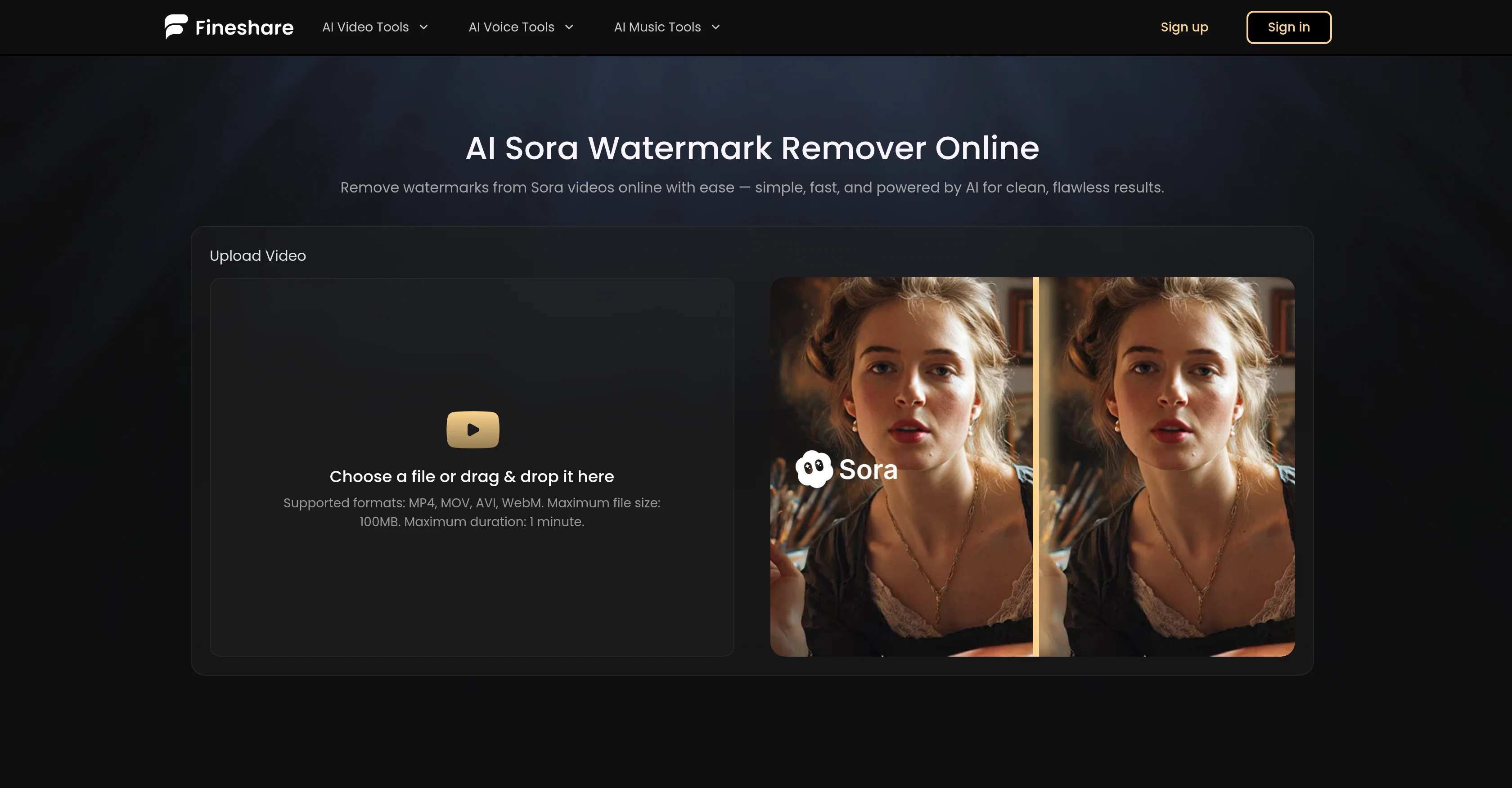 Fineshare Sora Watermark Remover screenshot