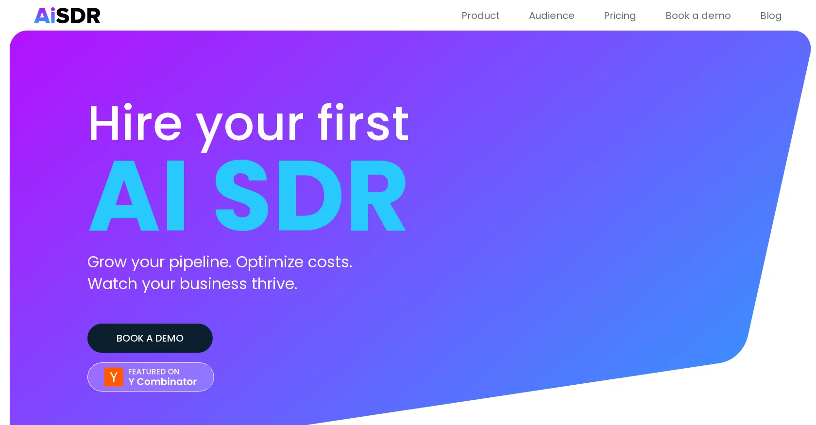 AiSDR screenshot