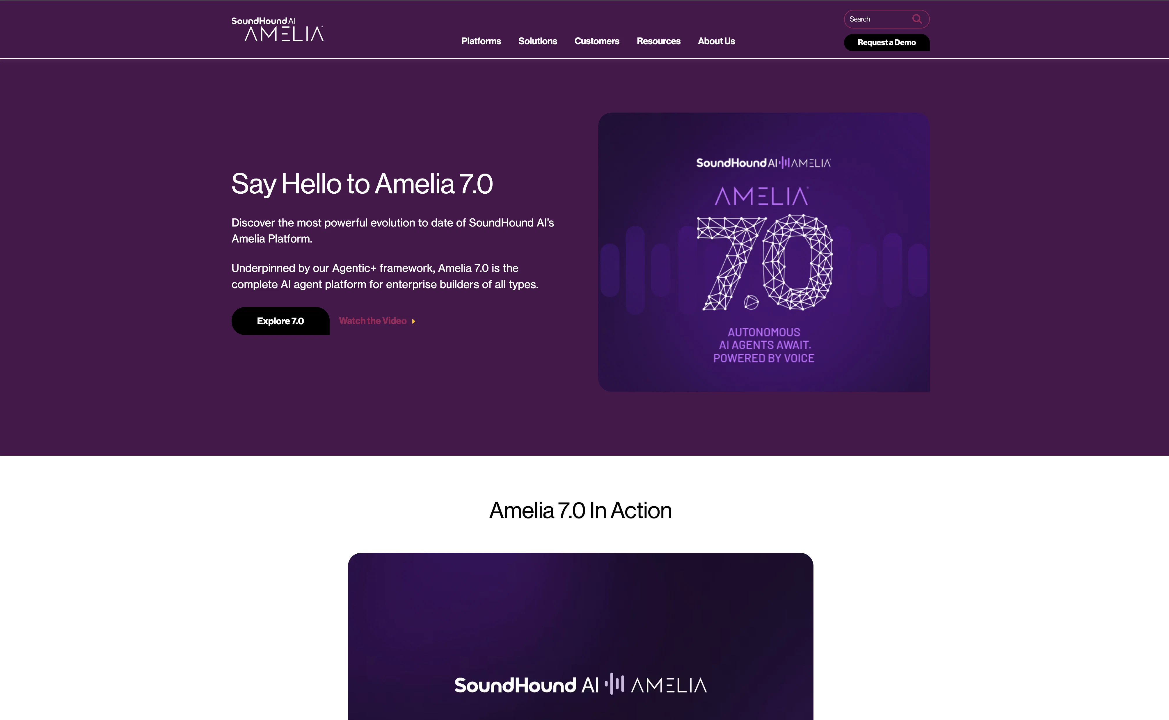 Amelia screenshot