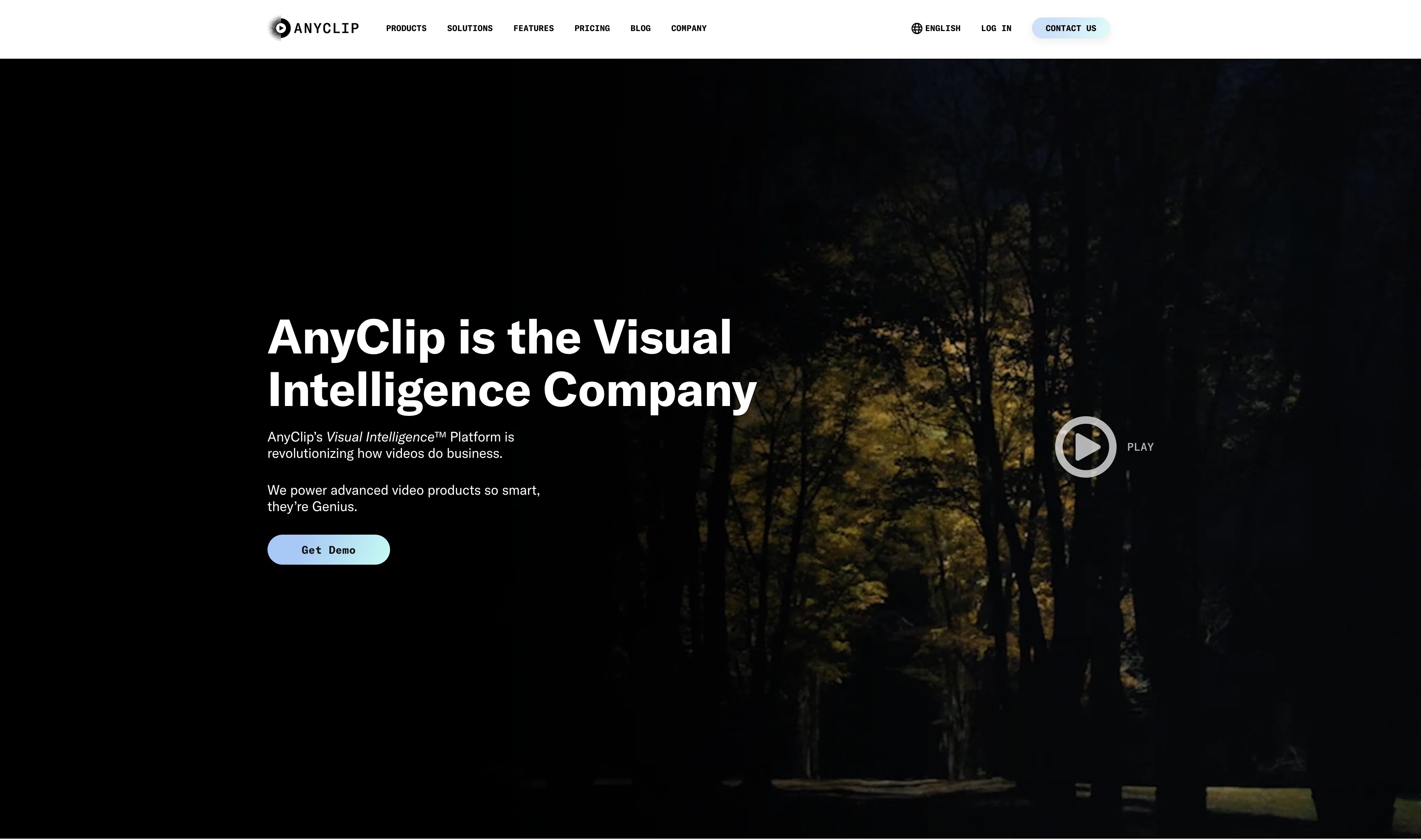 AnyClip screenshot