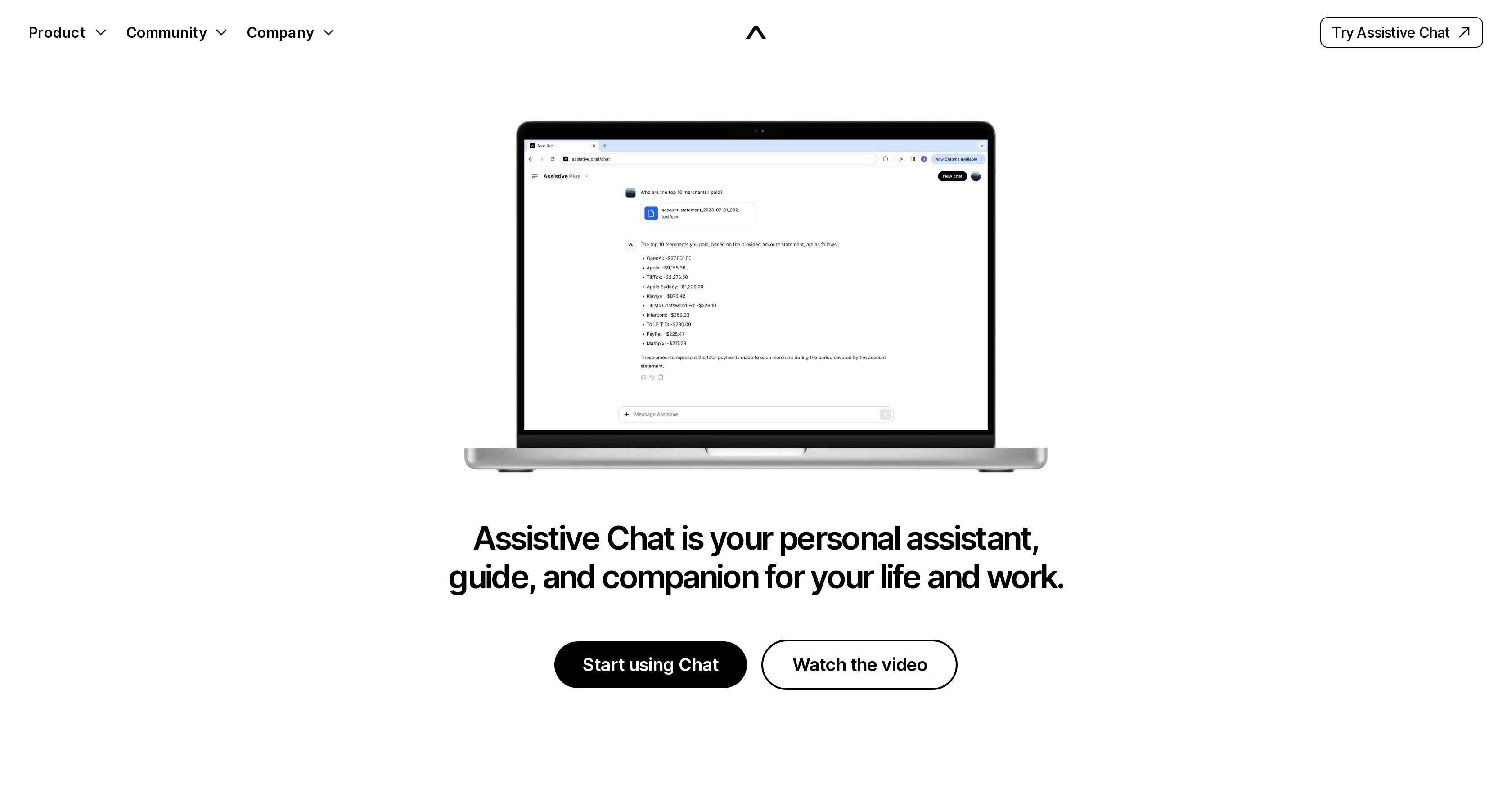 Assistive Chat screenshot