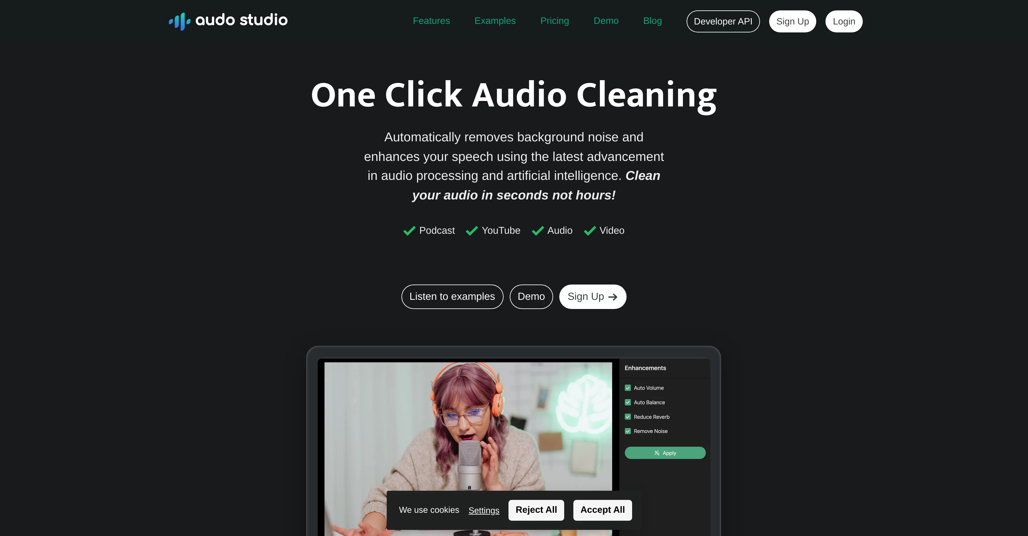Audo AI screenshot