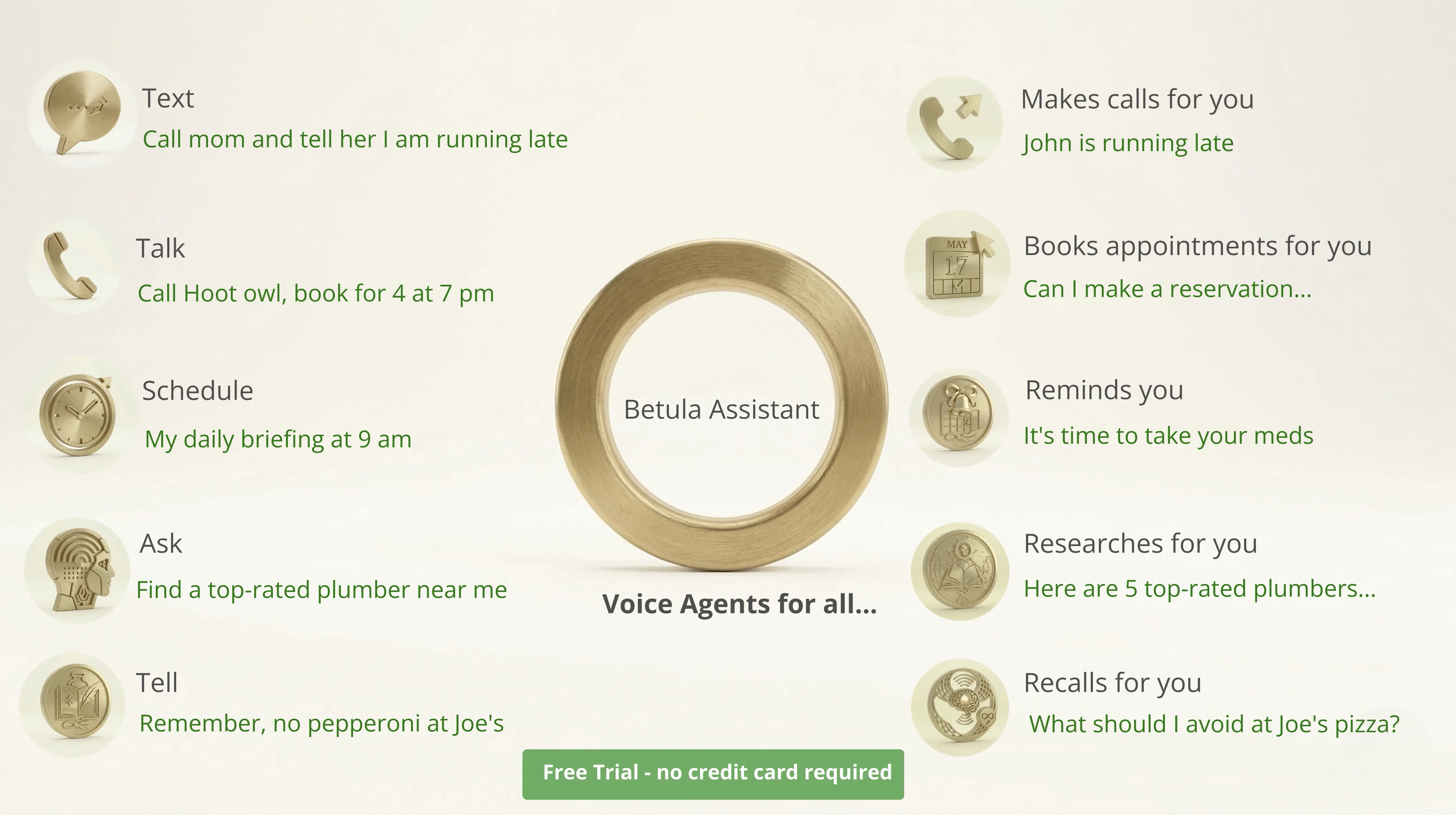 Betula Assistantv1.0 screenshot