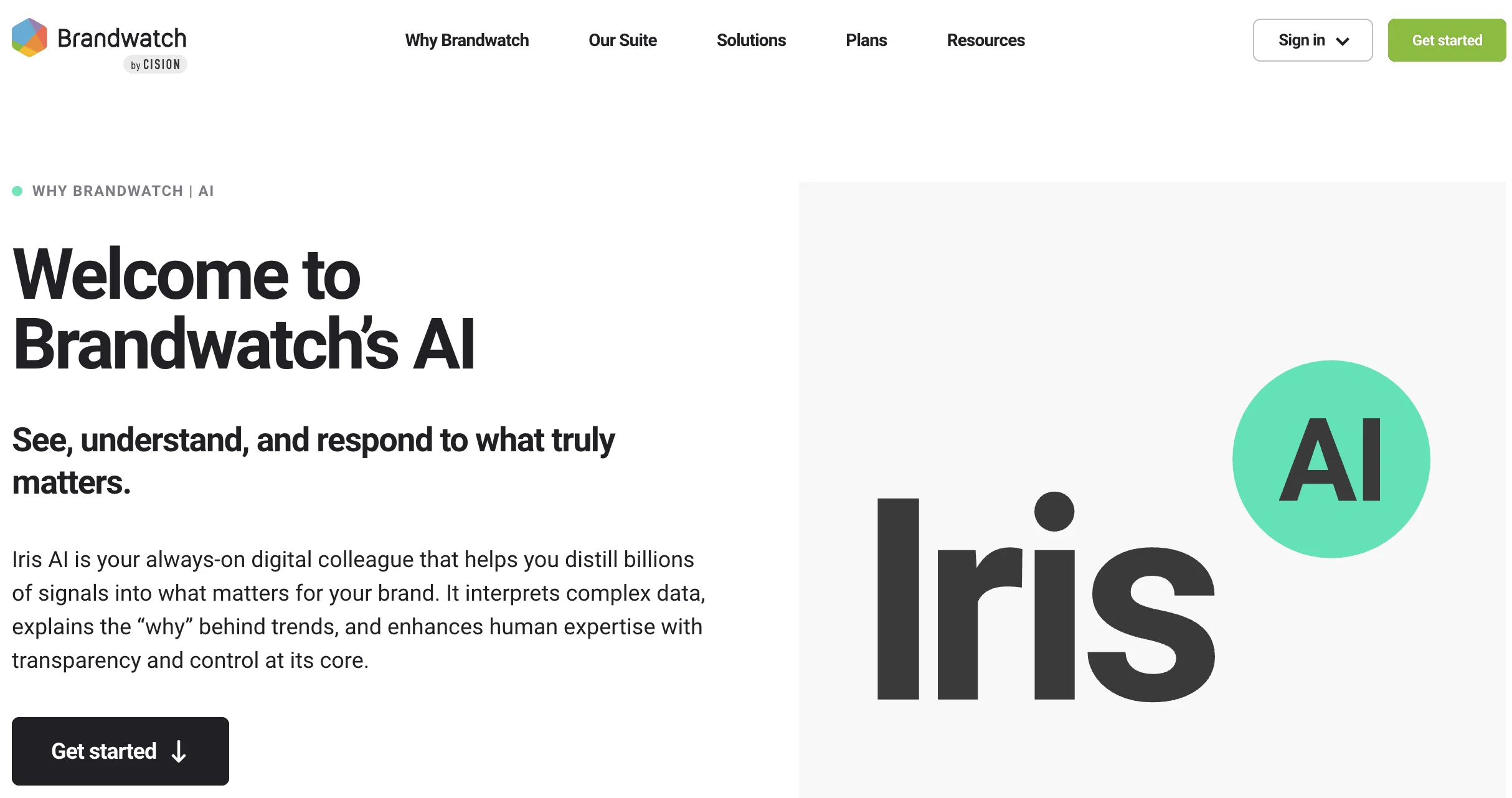 Brandwatch Iris AI screenshot