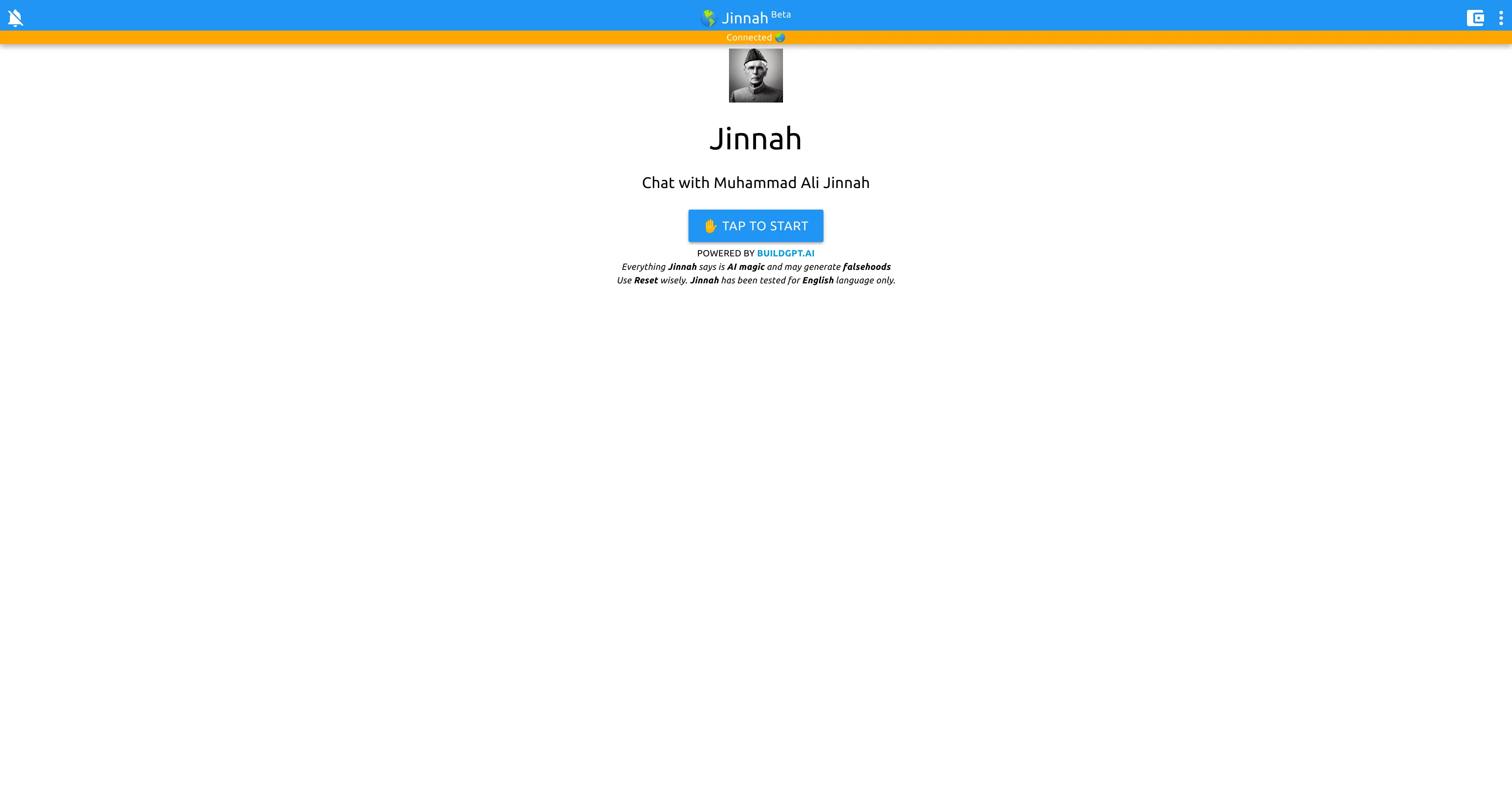Chat with Jinnah screenshot