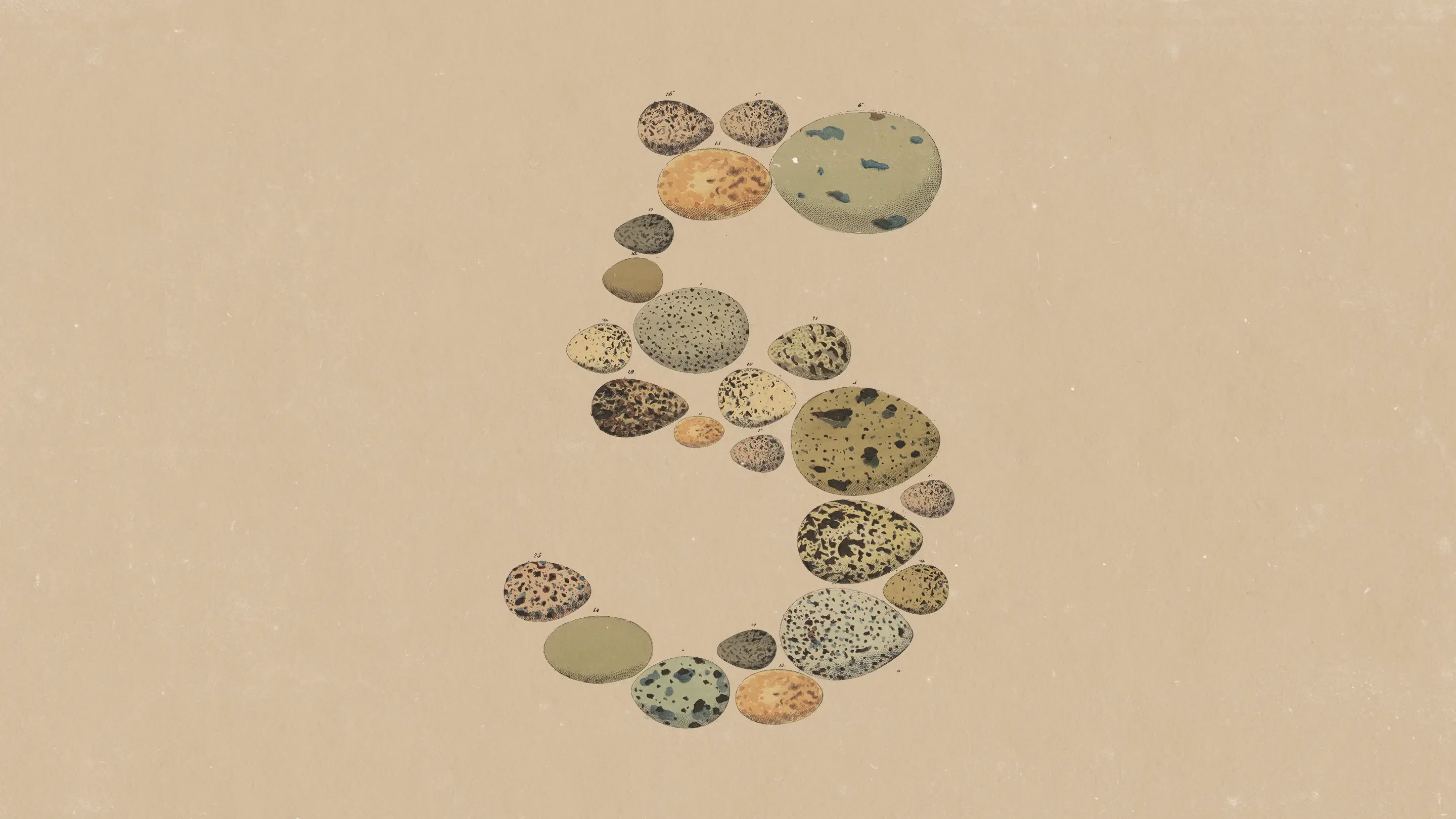 Claude5 screenshot