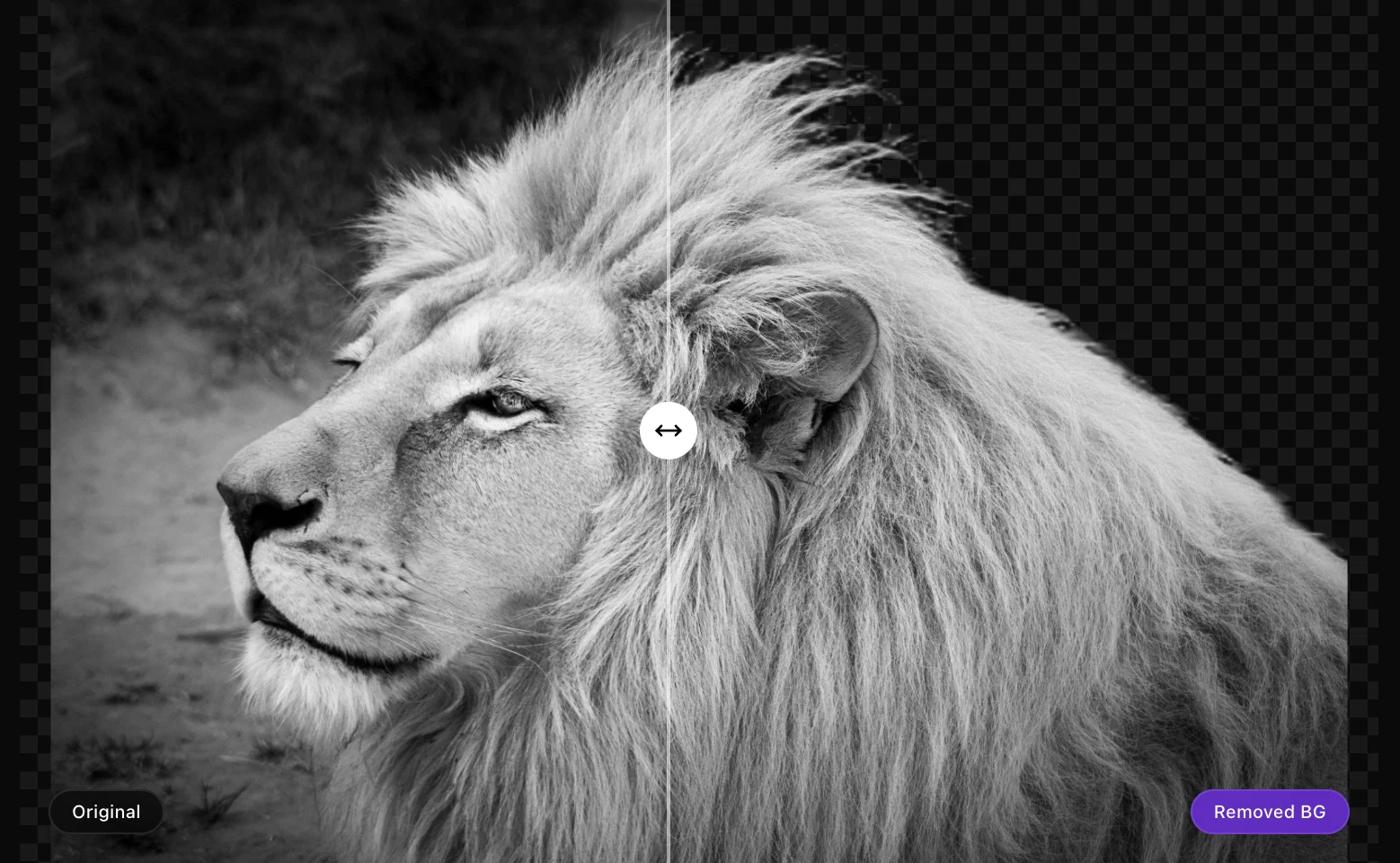 ClipBG - The Ultimate Bulk AI Background Remover screenshot