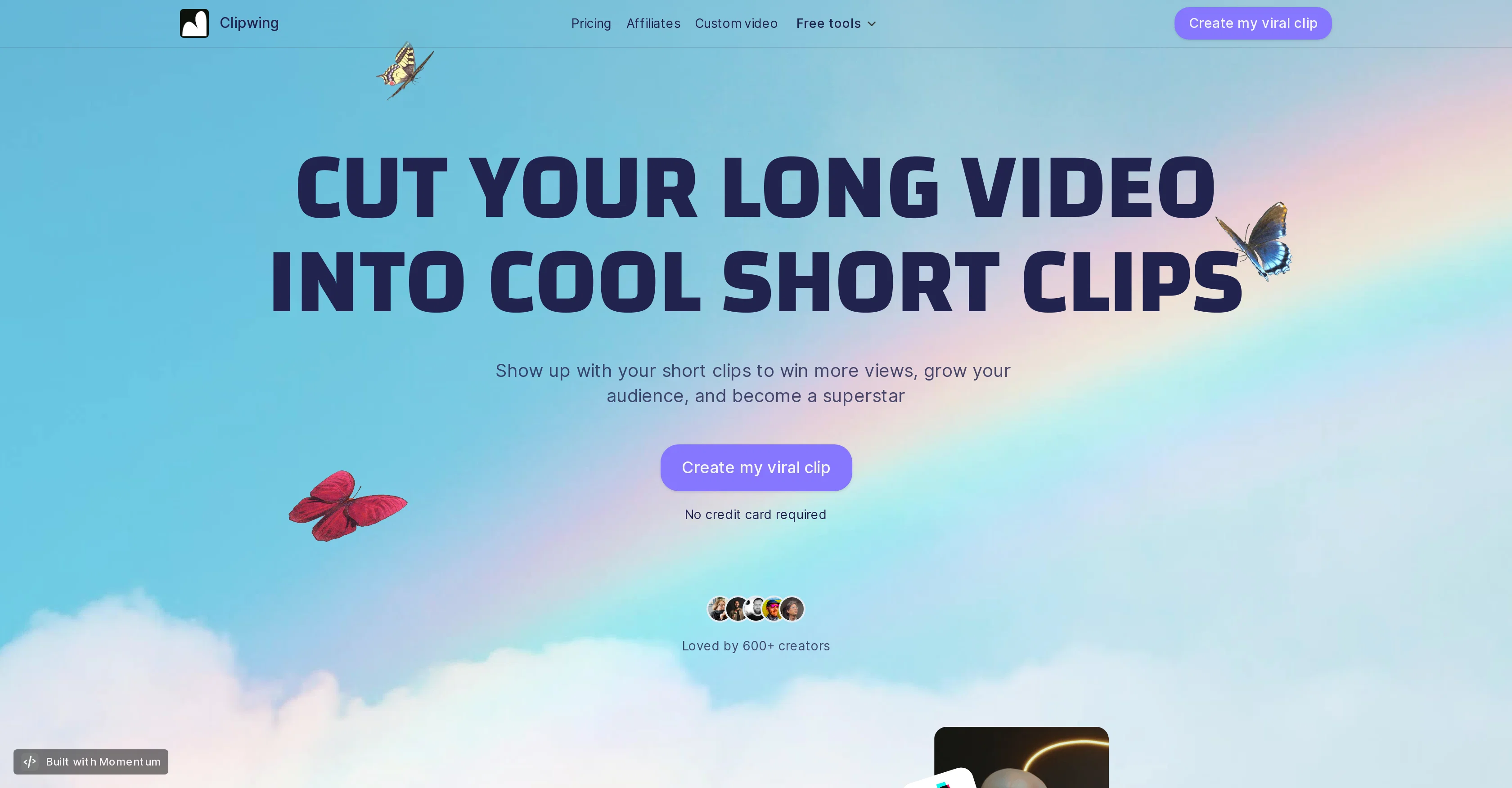 Clipwing screenshot