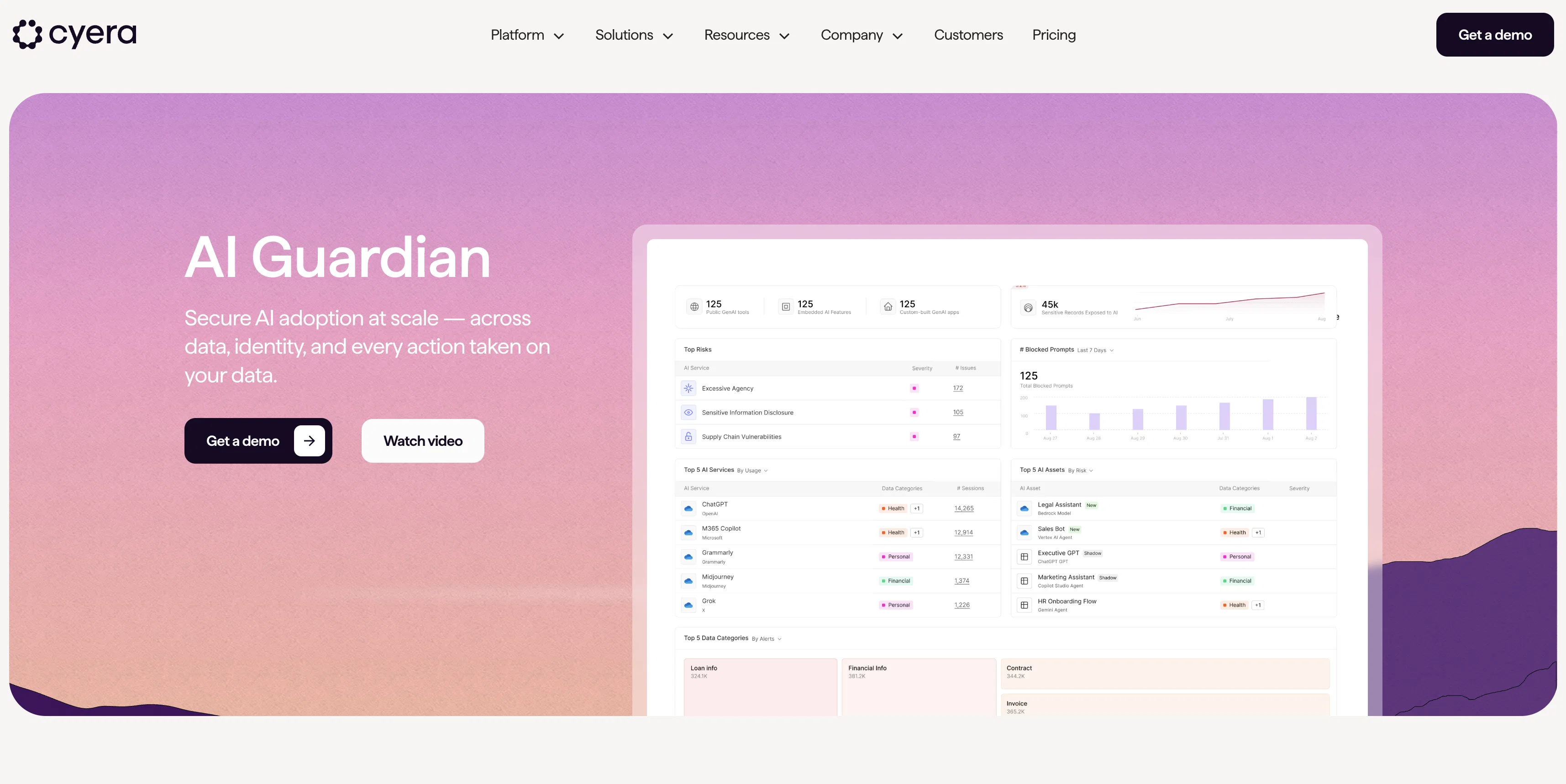 Cyera screenshot