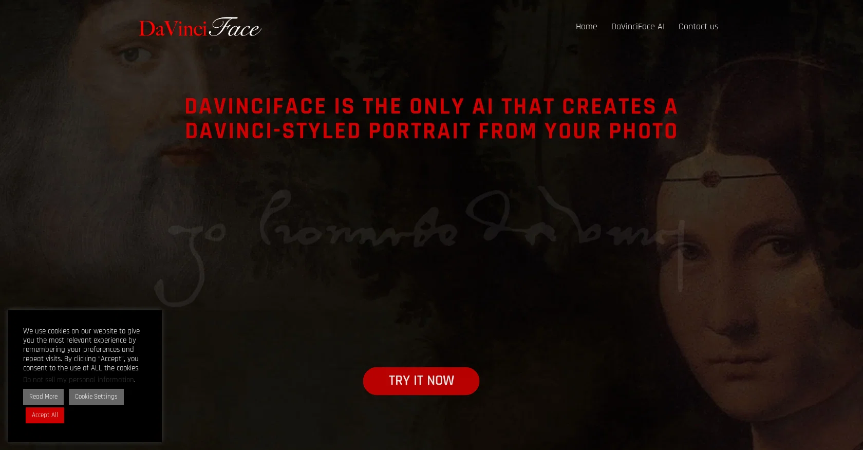 DaVinciFace screenshot