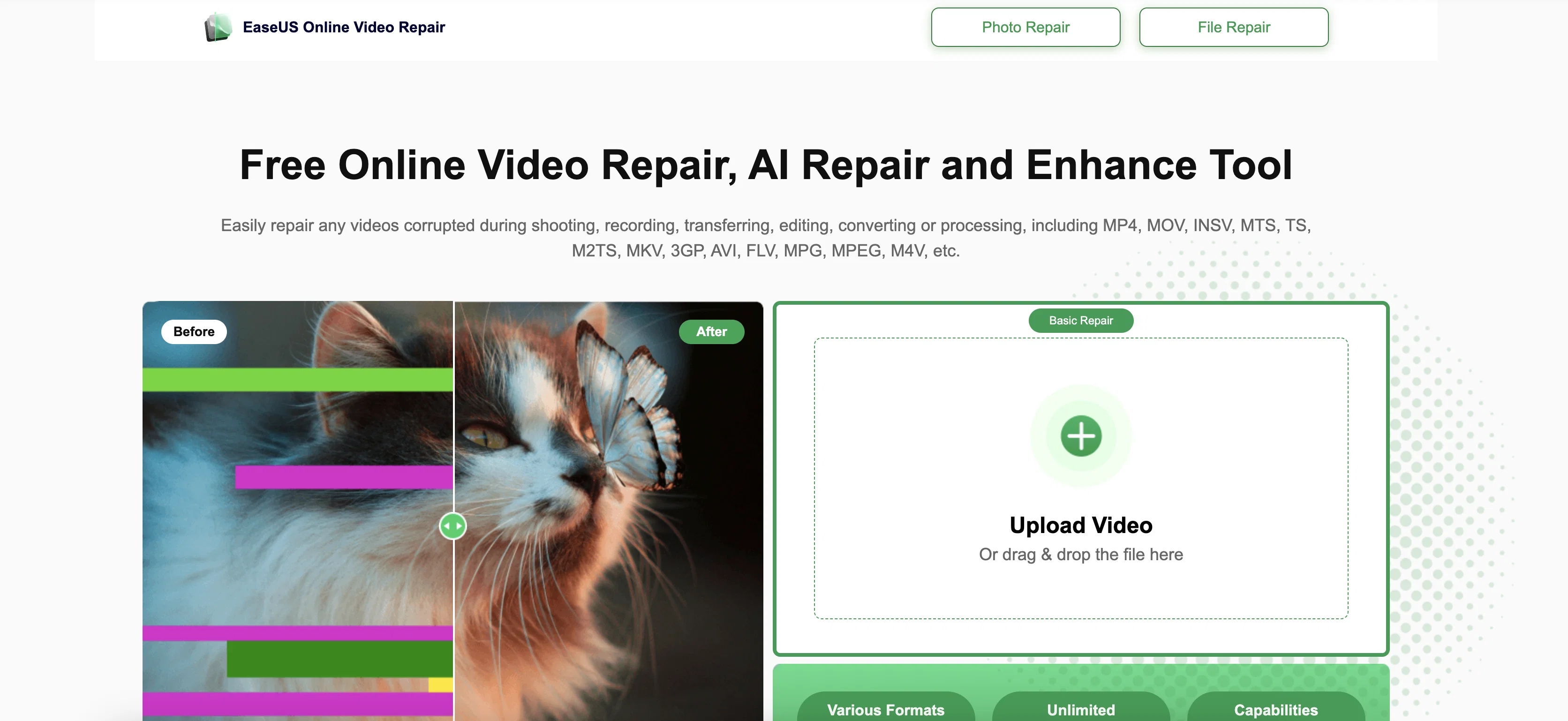 EaseUS Online Video Repair screenshot