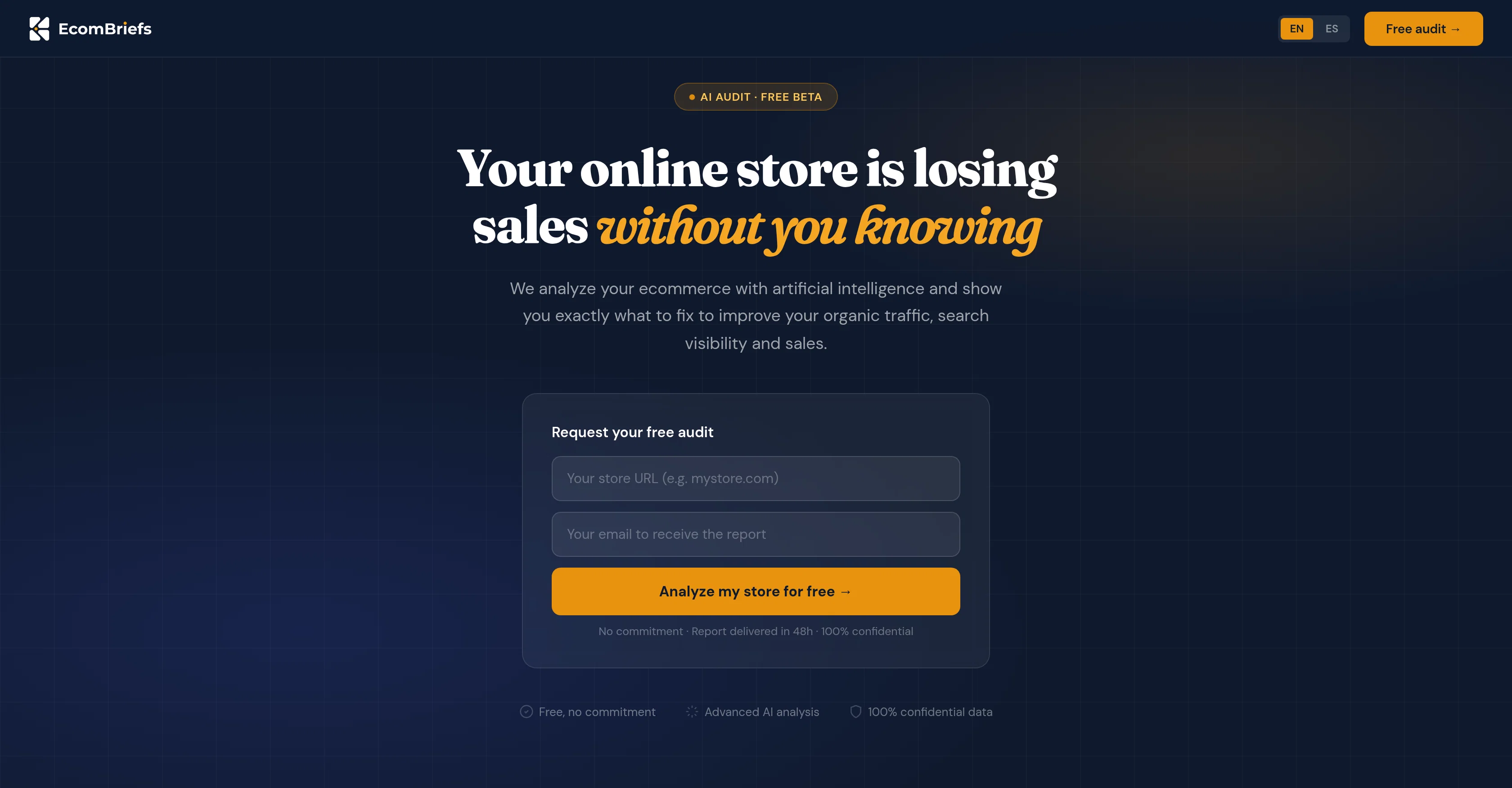 EcomBriefs screenshot