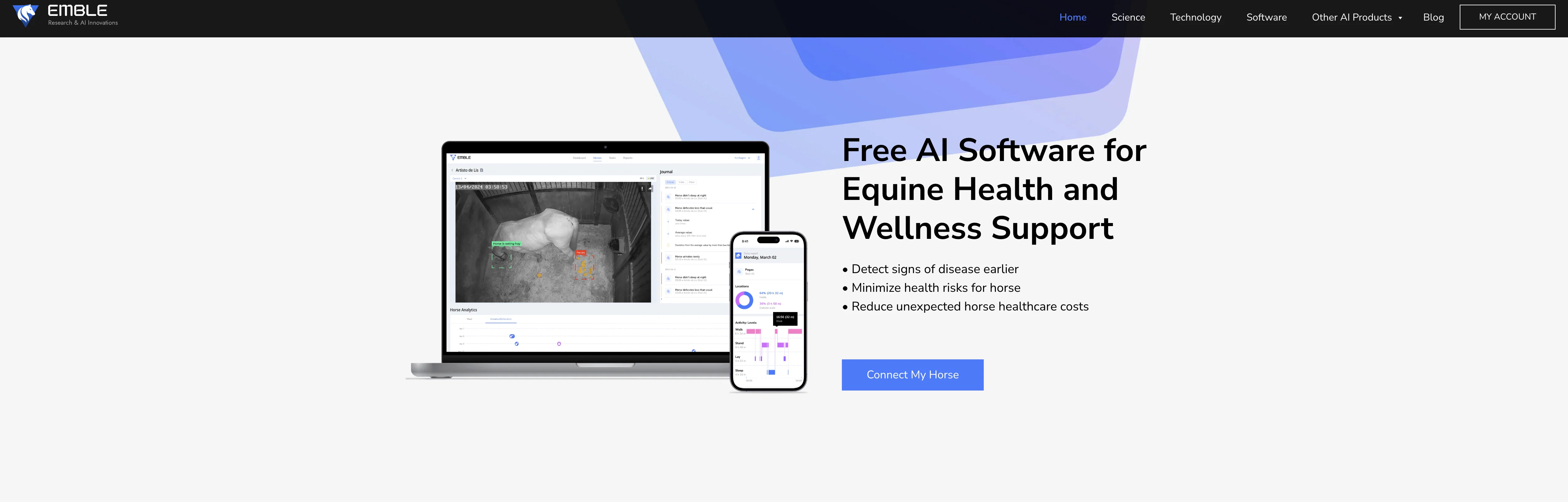 Emble Pro screenshot