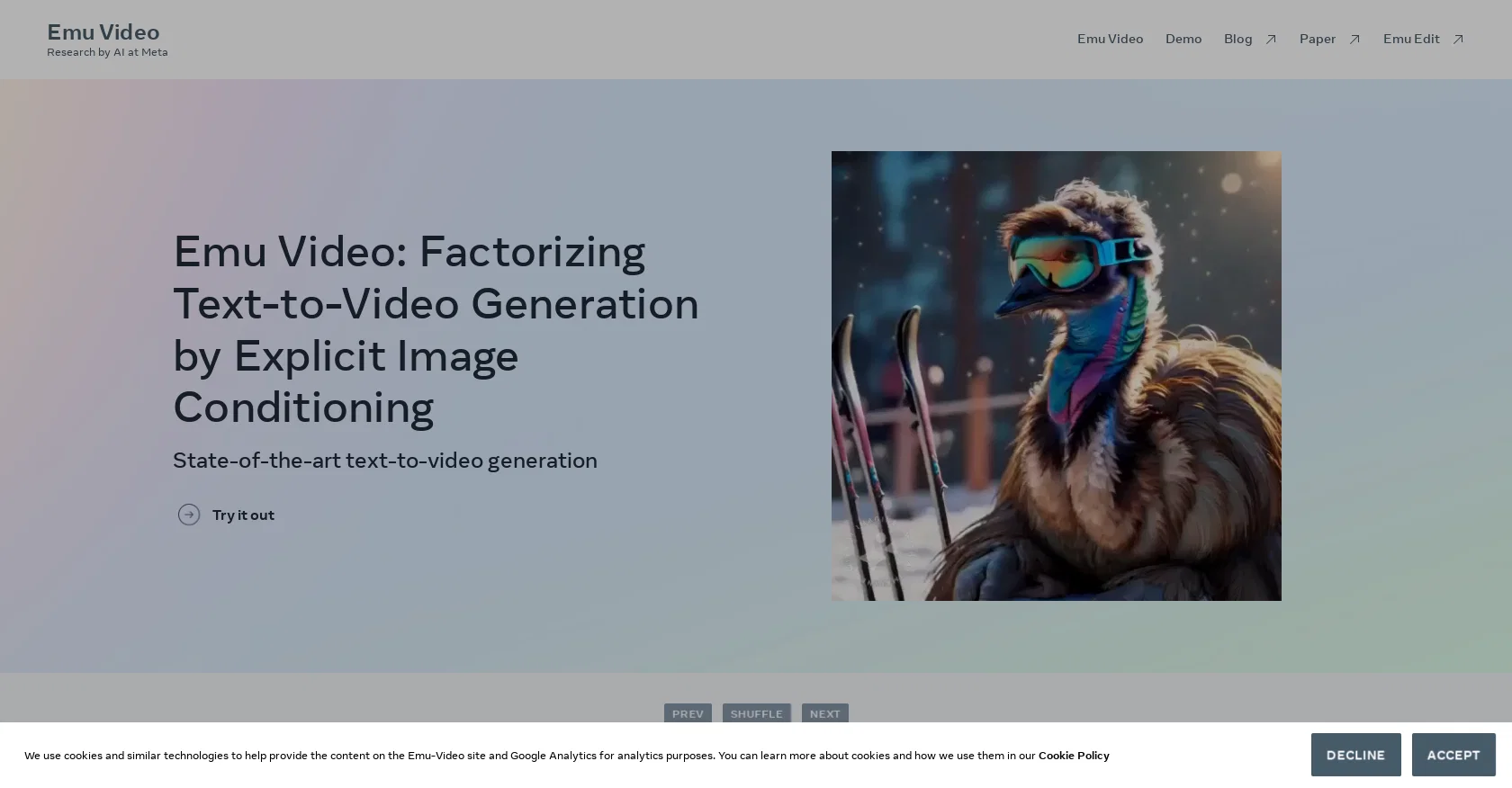 Emu Video screenshot