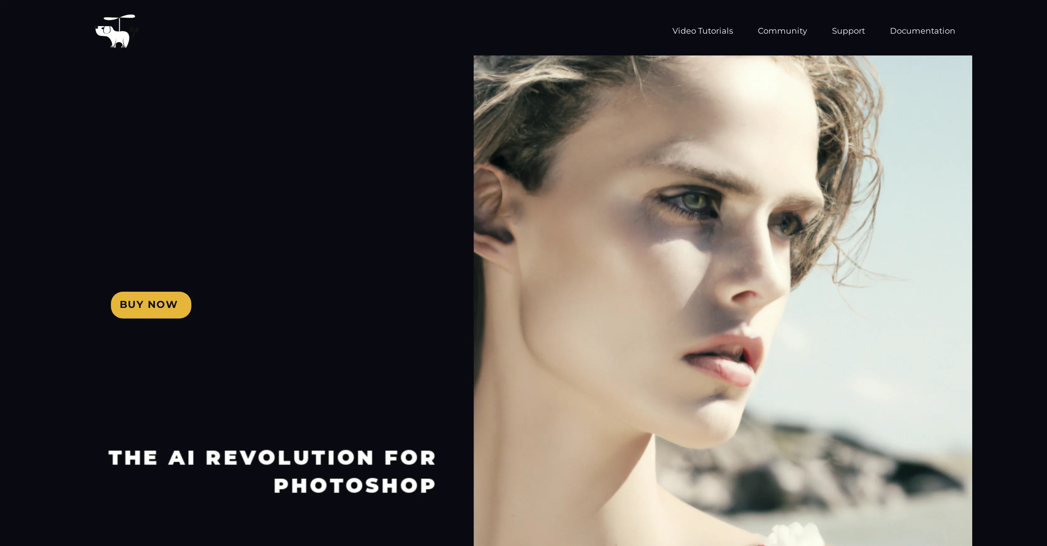 AI for Photoshop - DALL-E 2 and Stable Diffusion (fly... screenshot