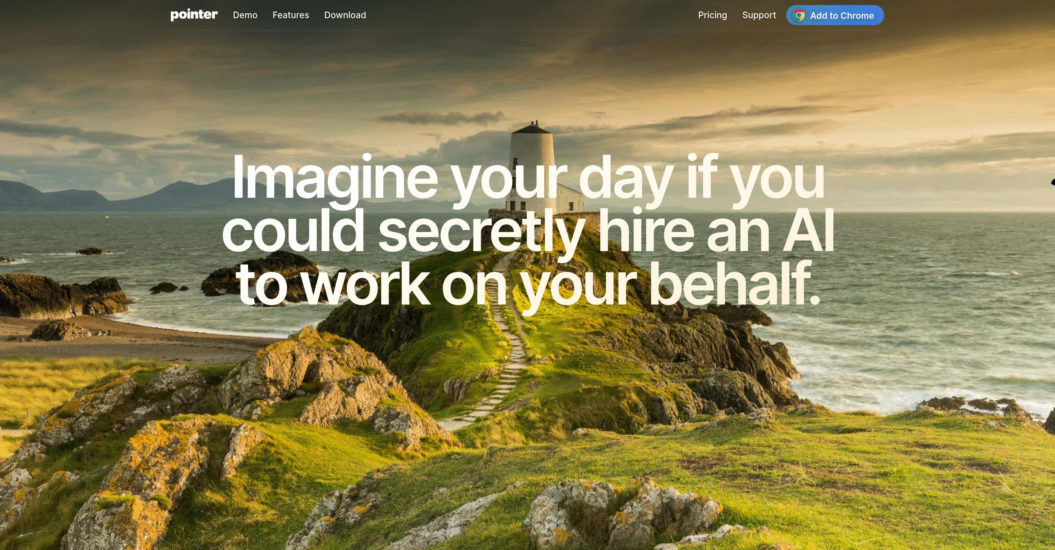Pointer screenshot