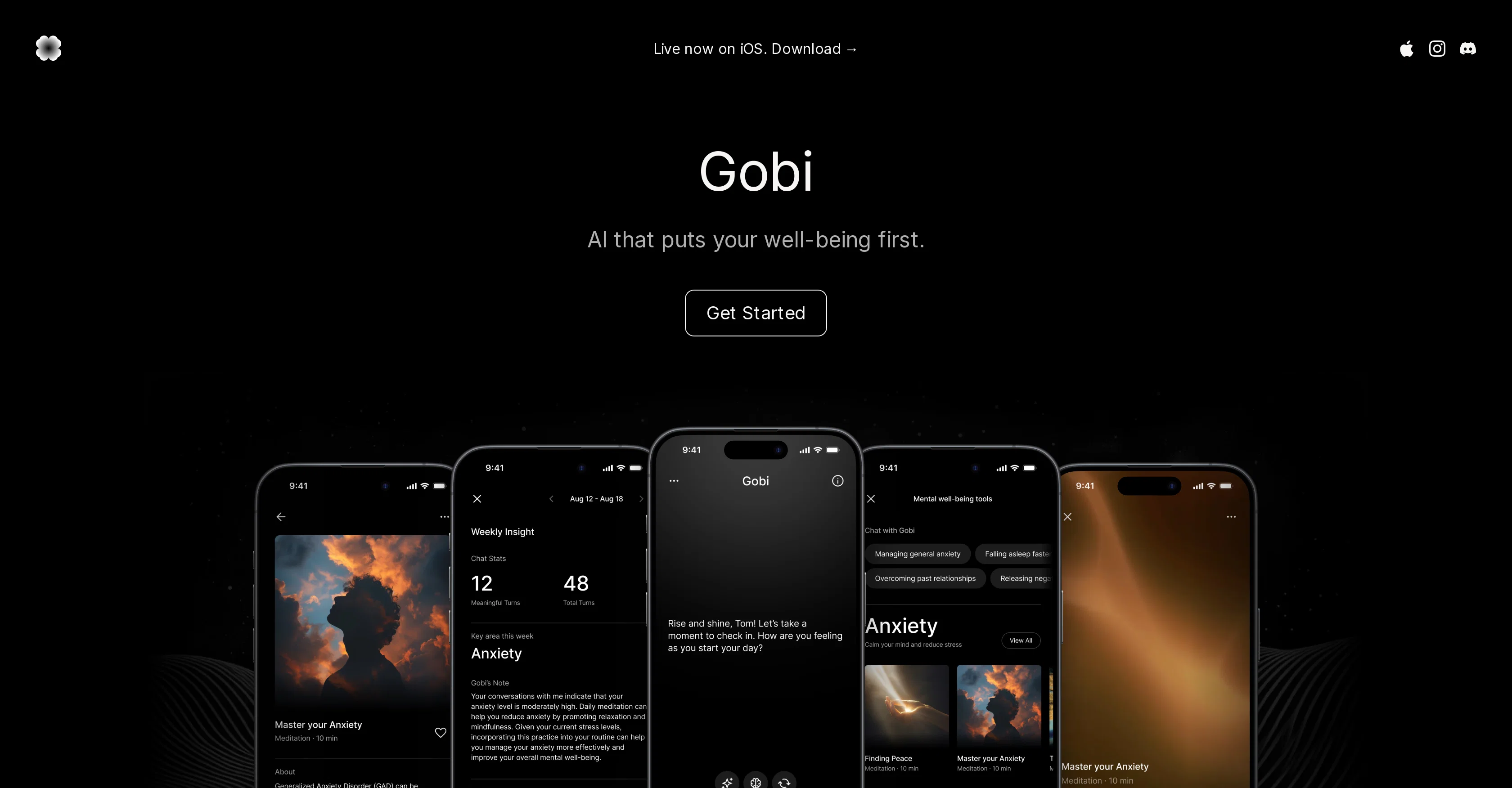 Gobi screenshot