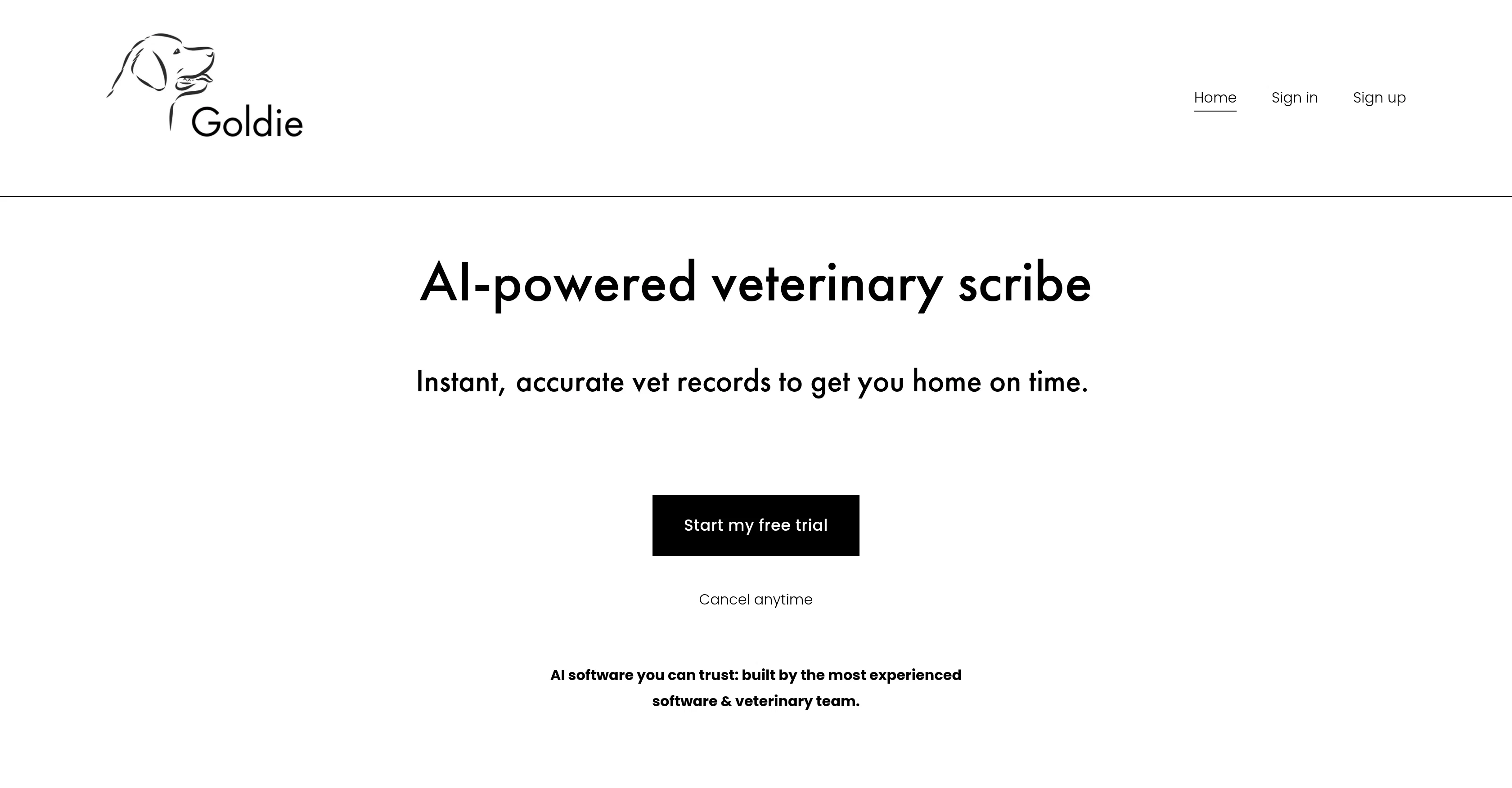 Goldie Vet screenshot