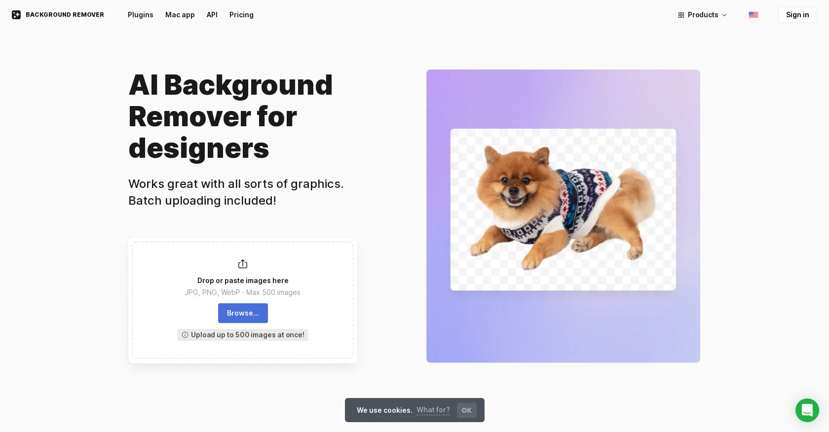 Icons8 Background Remover screenshot