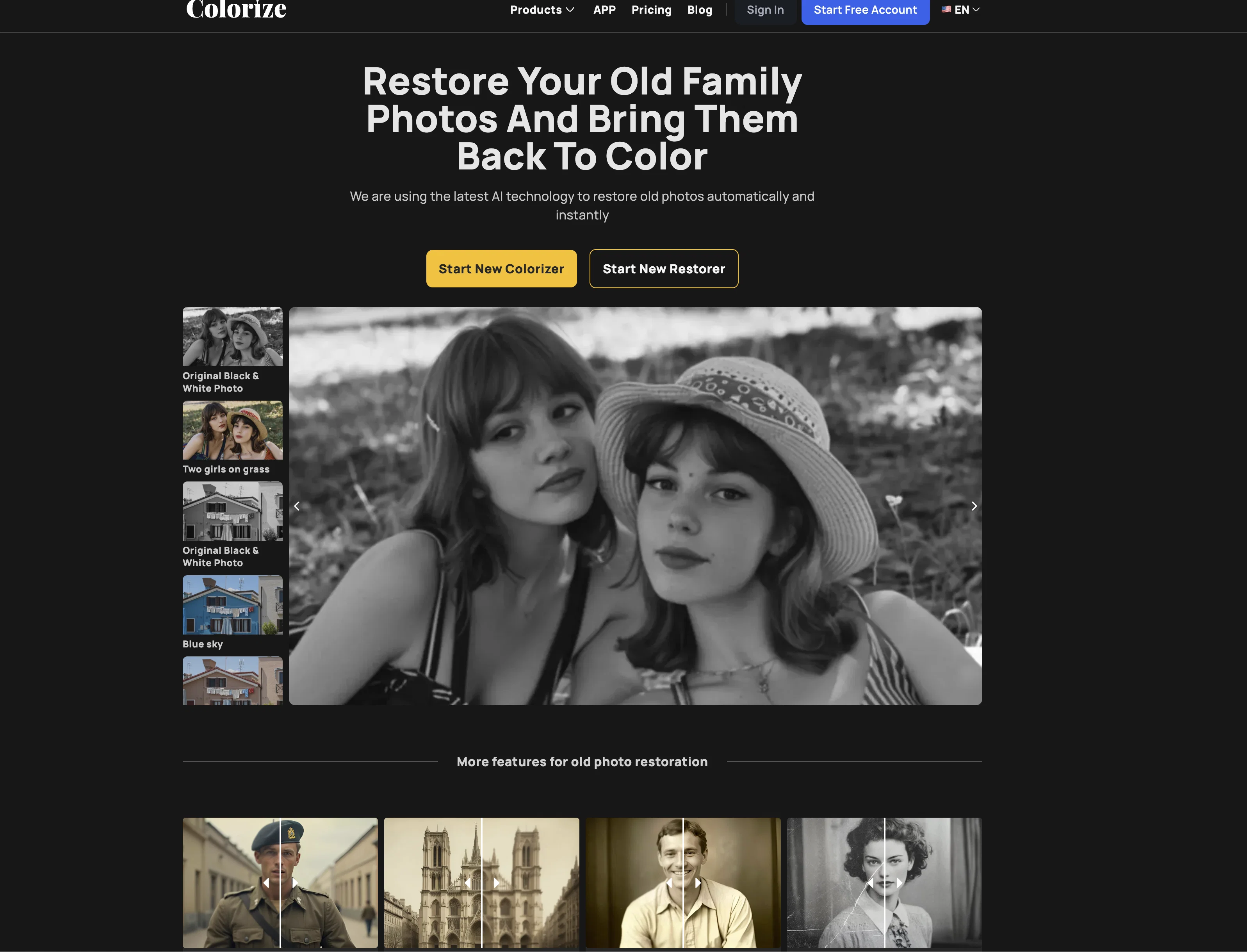 ImageColorizer screenshot
