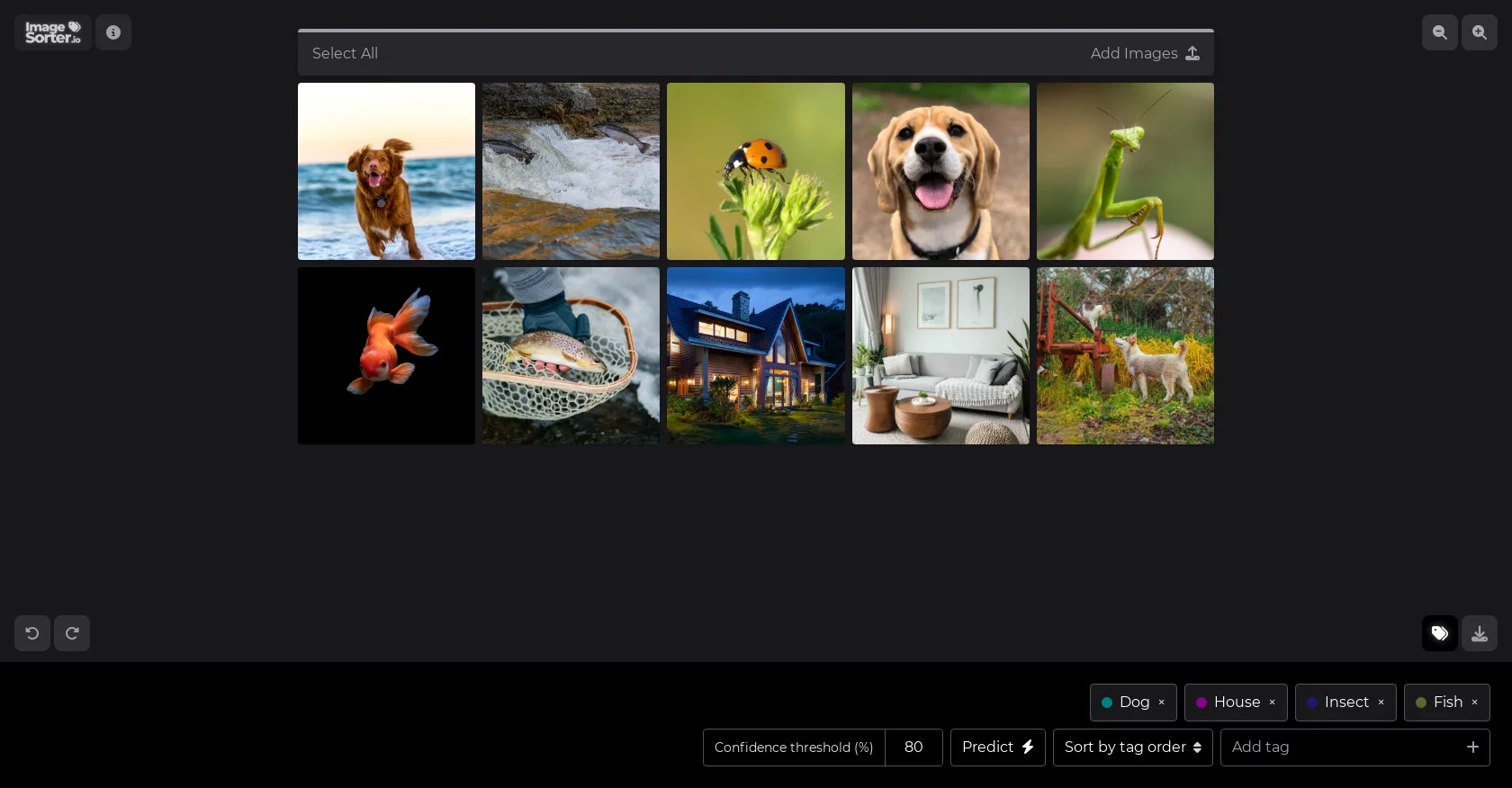 ImageSorter screenshot