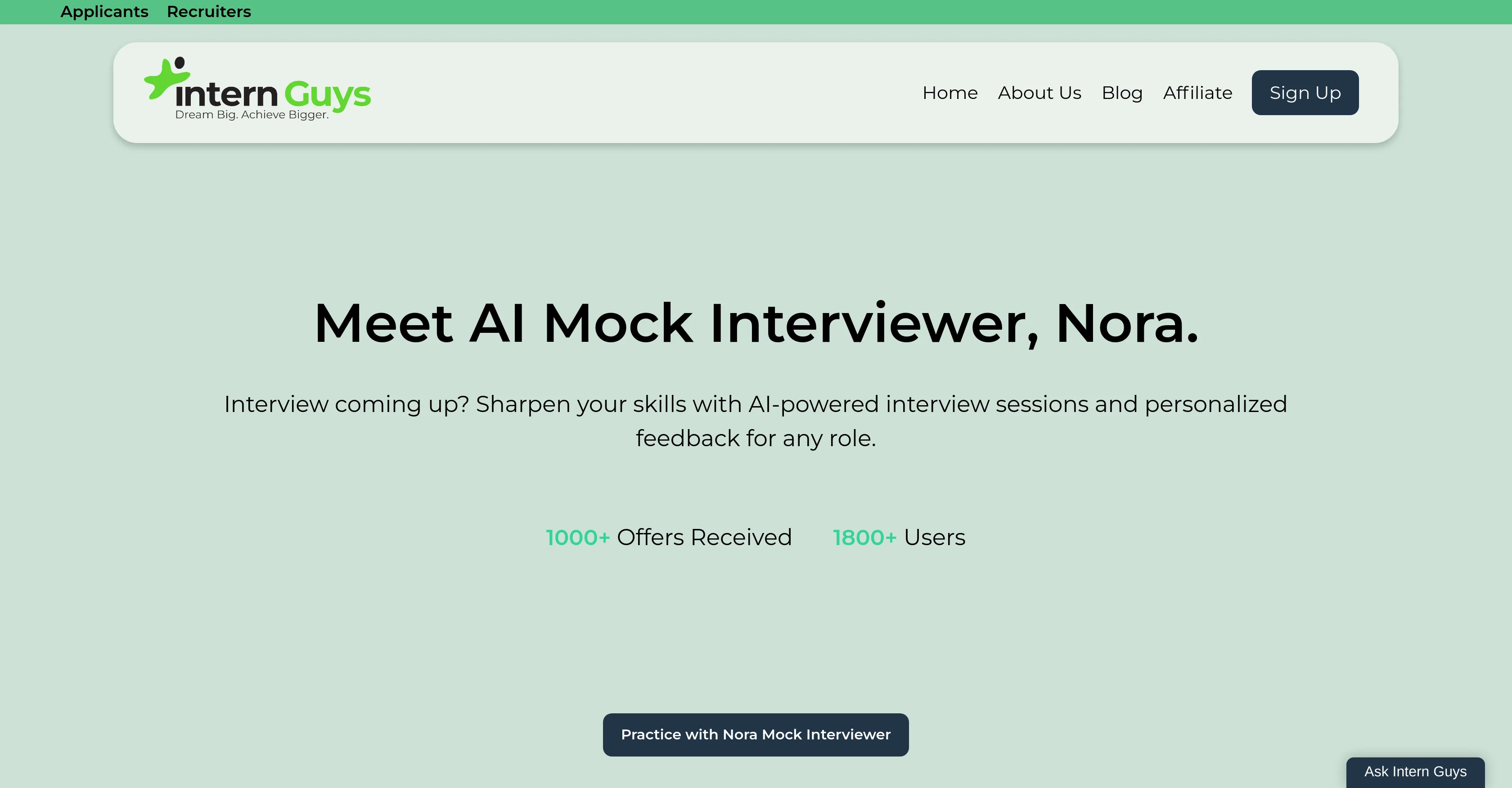 Intern Guys screenshot