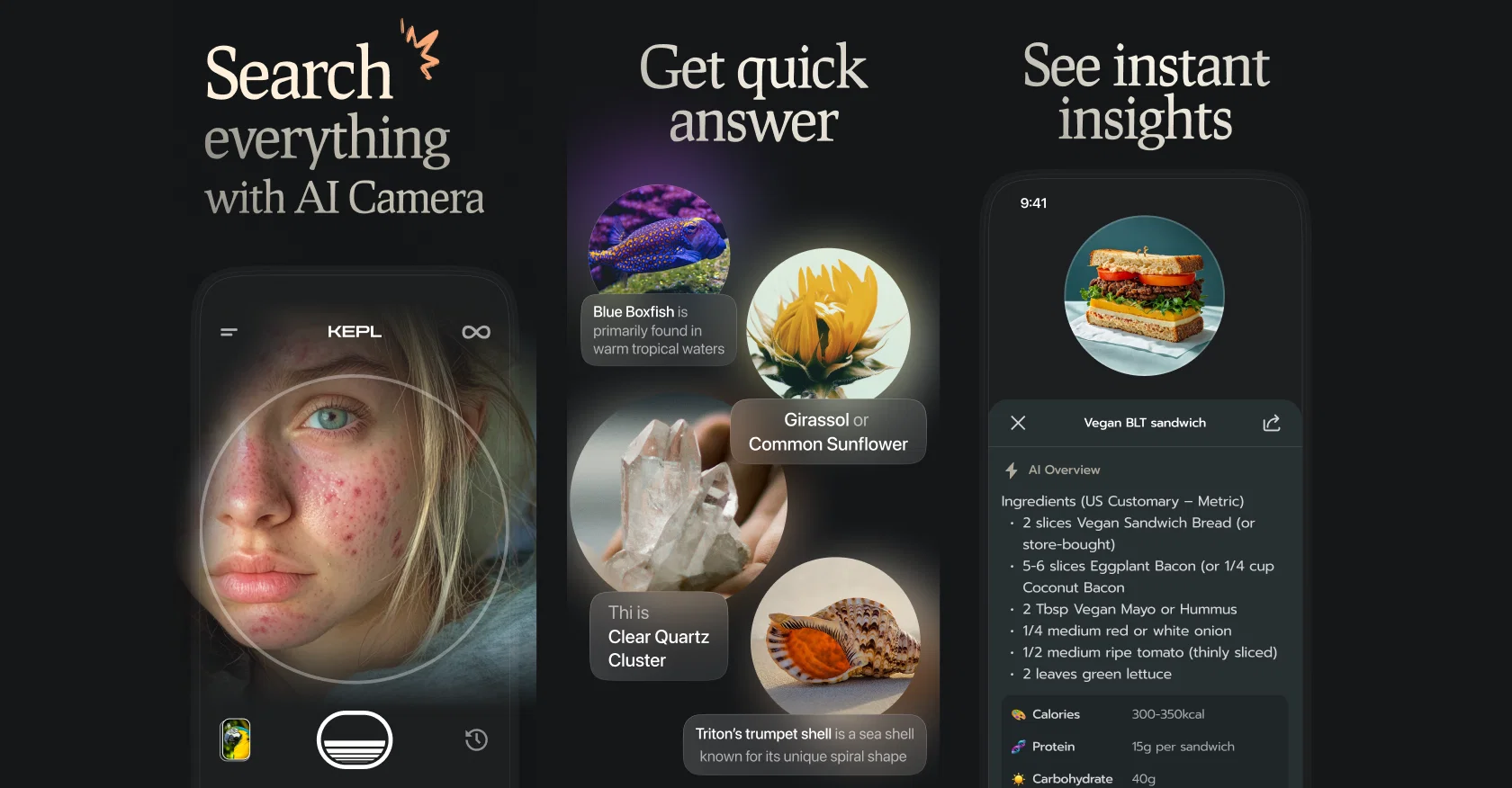 KEPL - Vision AI Searchv1.1 screenshot