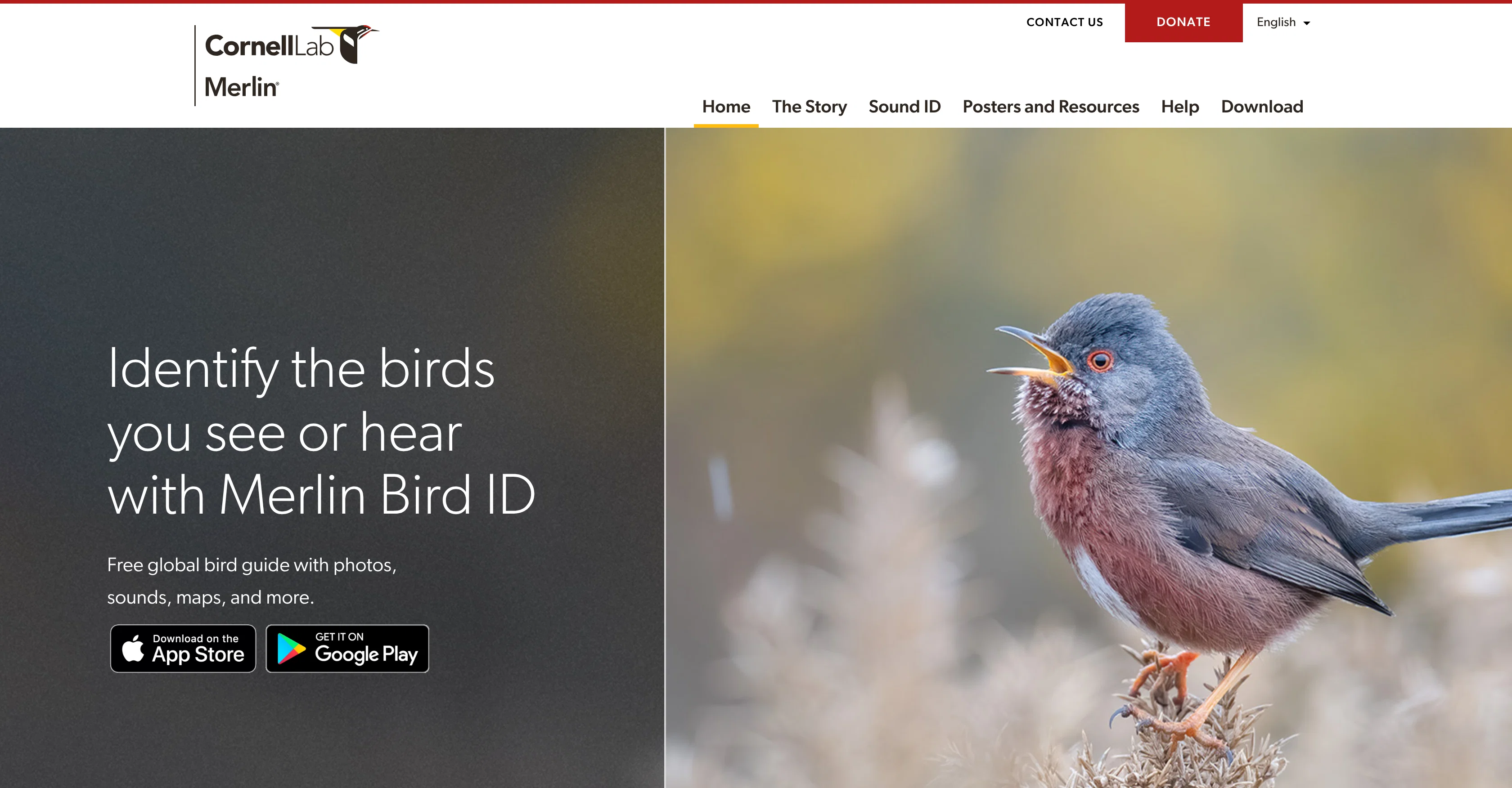 Merlin Bird ID screenshot