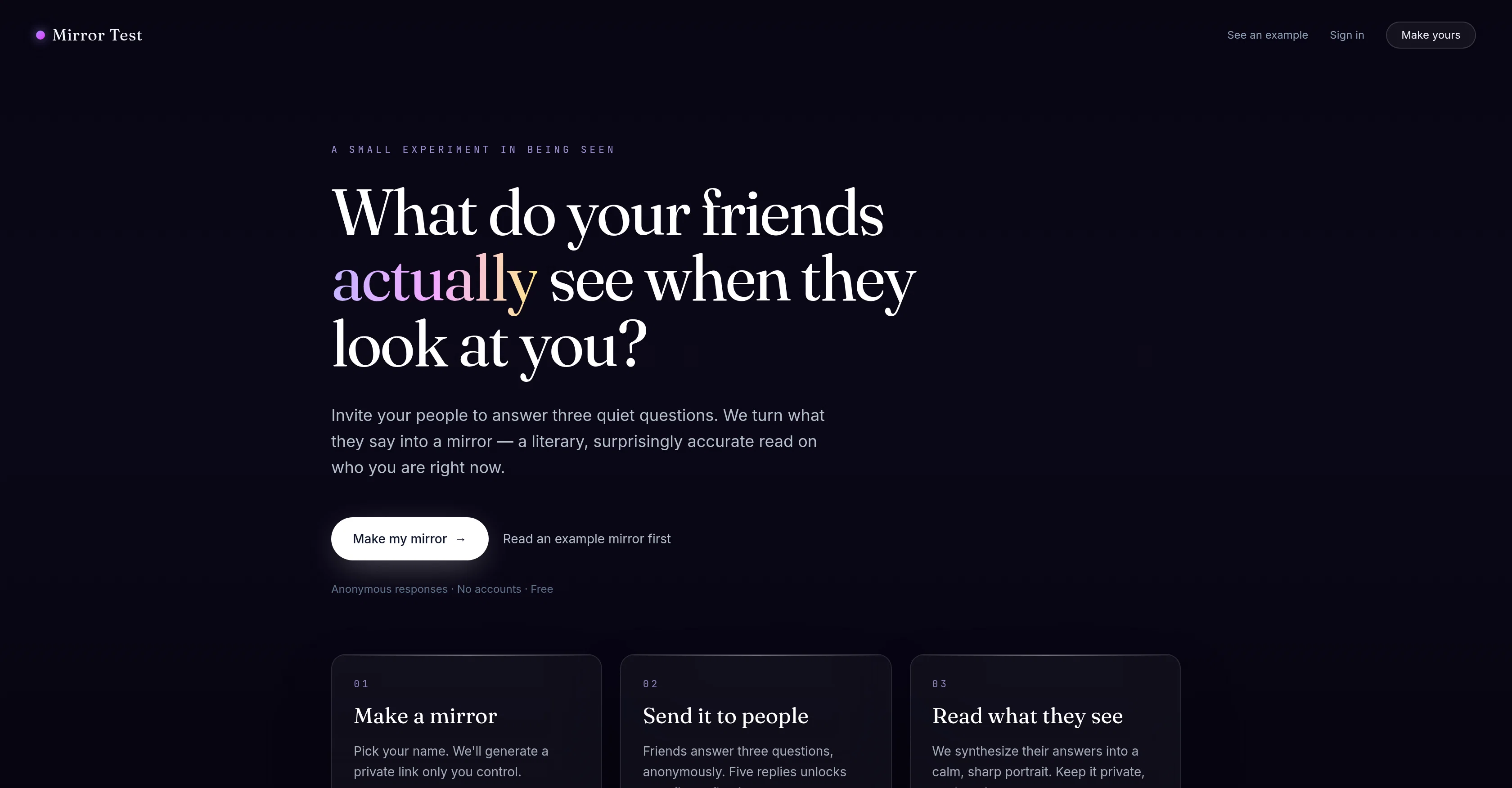 Mirror Test screenshot