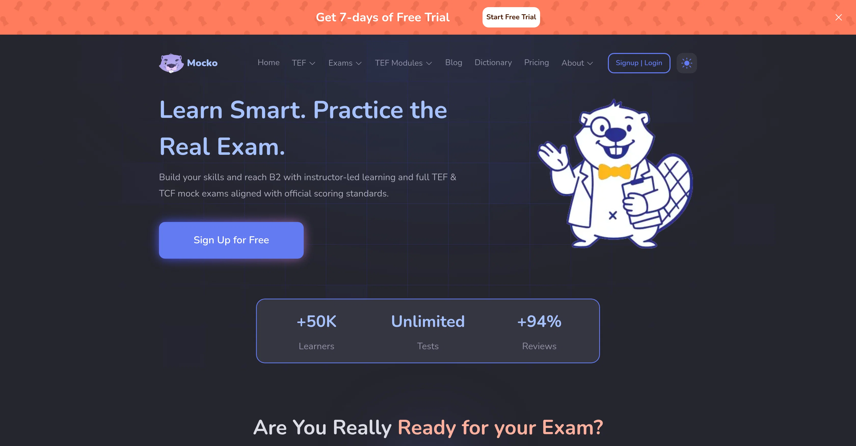 Mocko screenshot