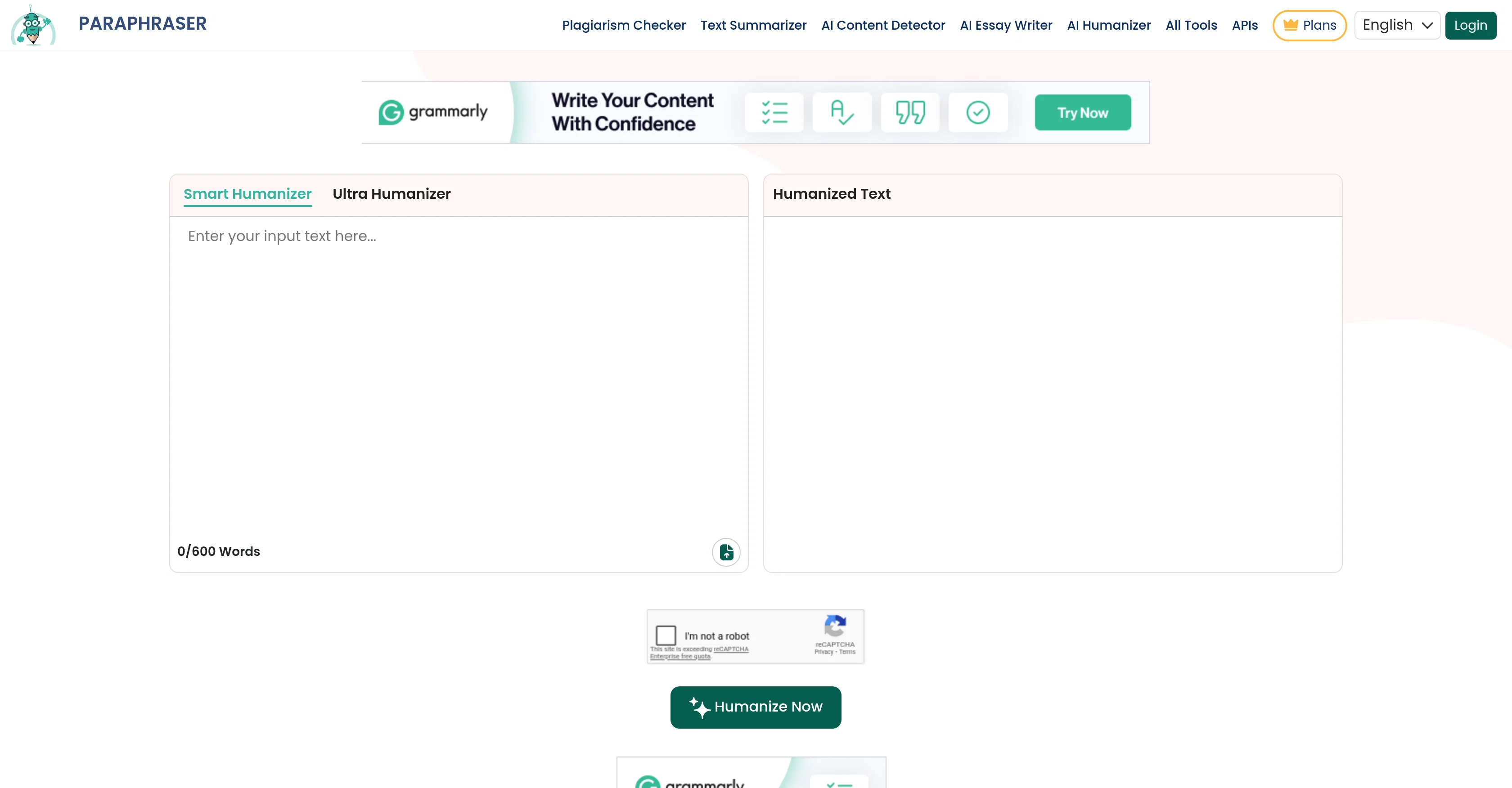 Paraphraser.io AI Humanizer screenshot