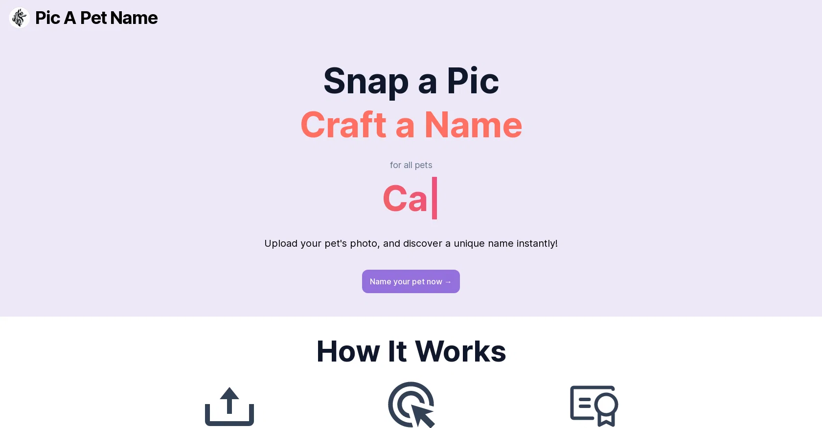 Pic A Pet Name screenshot