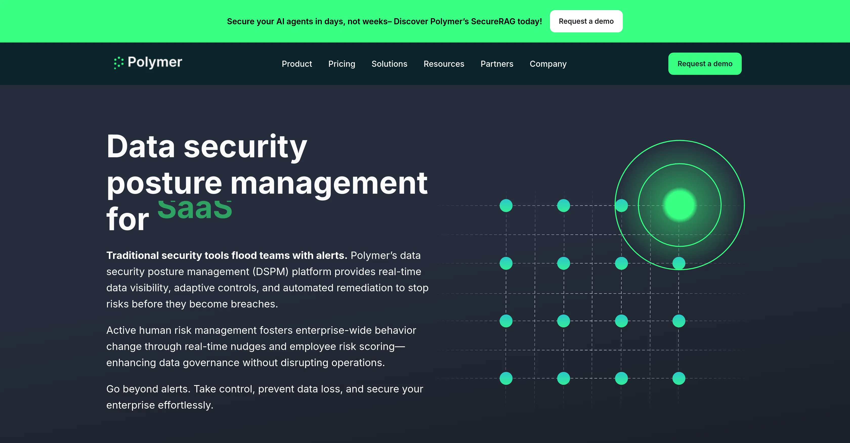 Polymer Runtime Data Securityv2.1 screenshot