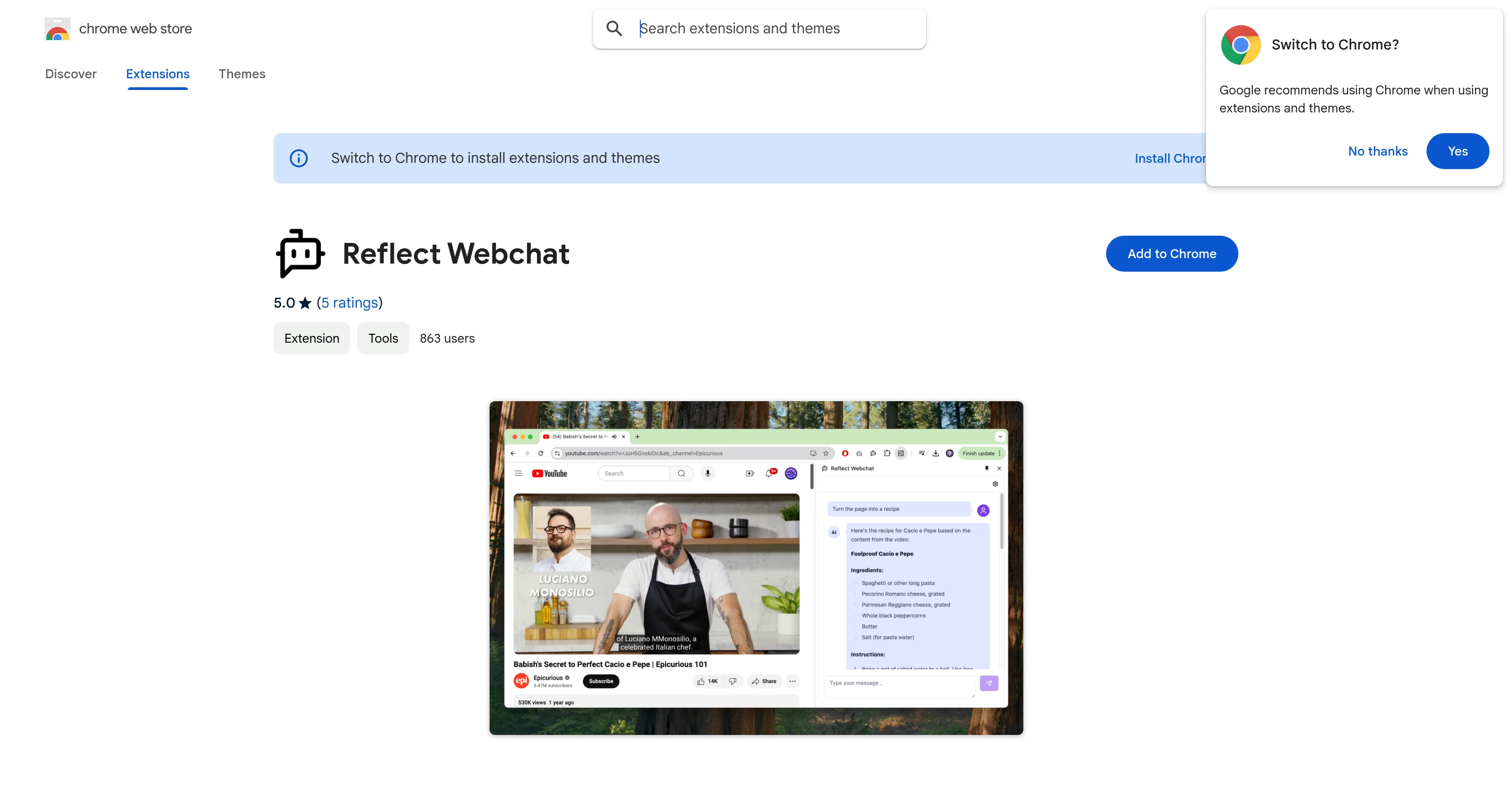 Reflect Webchat screenshot