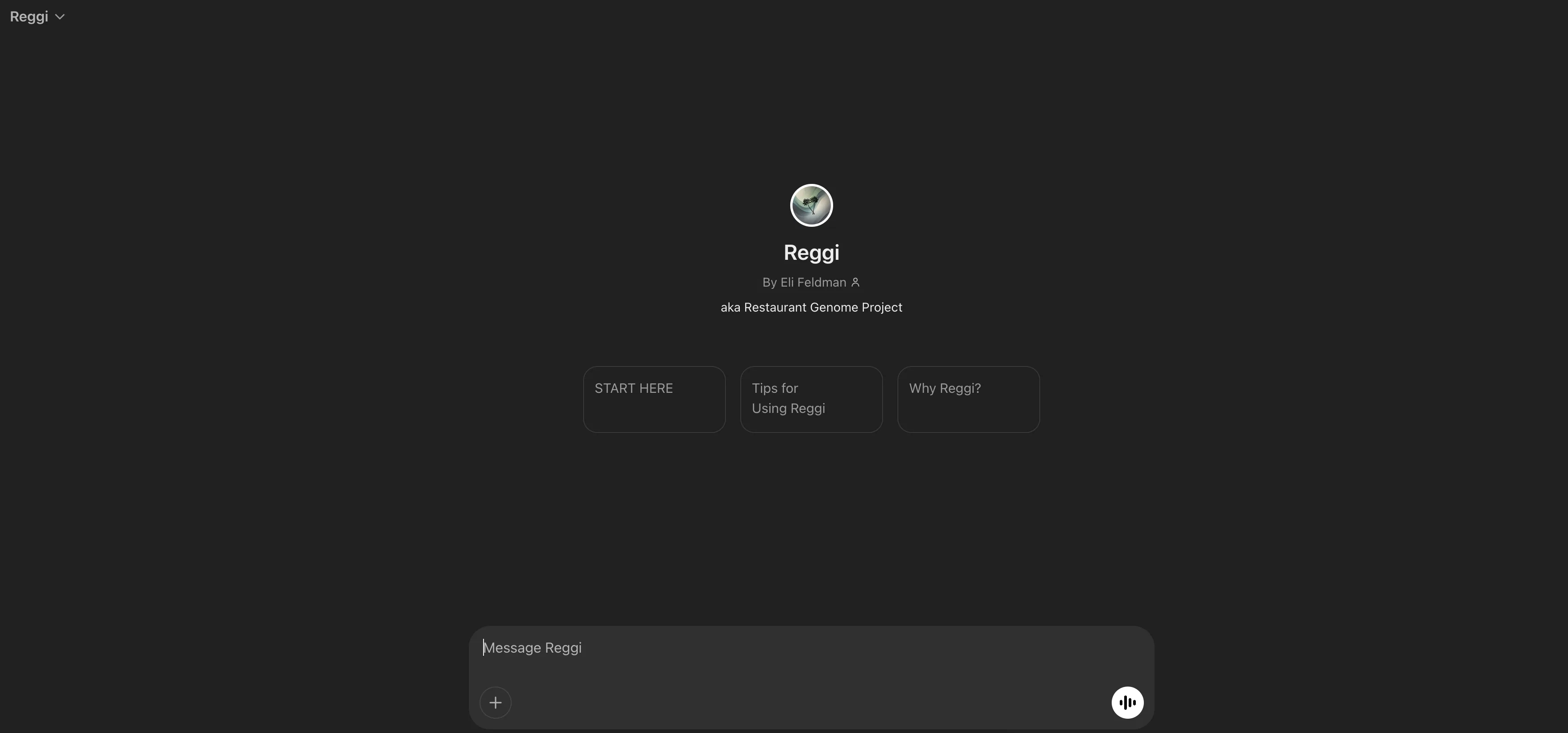 Reggi screenshot