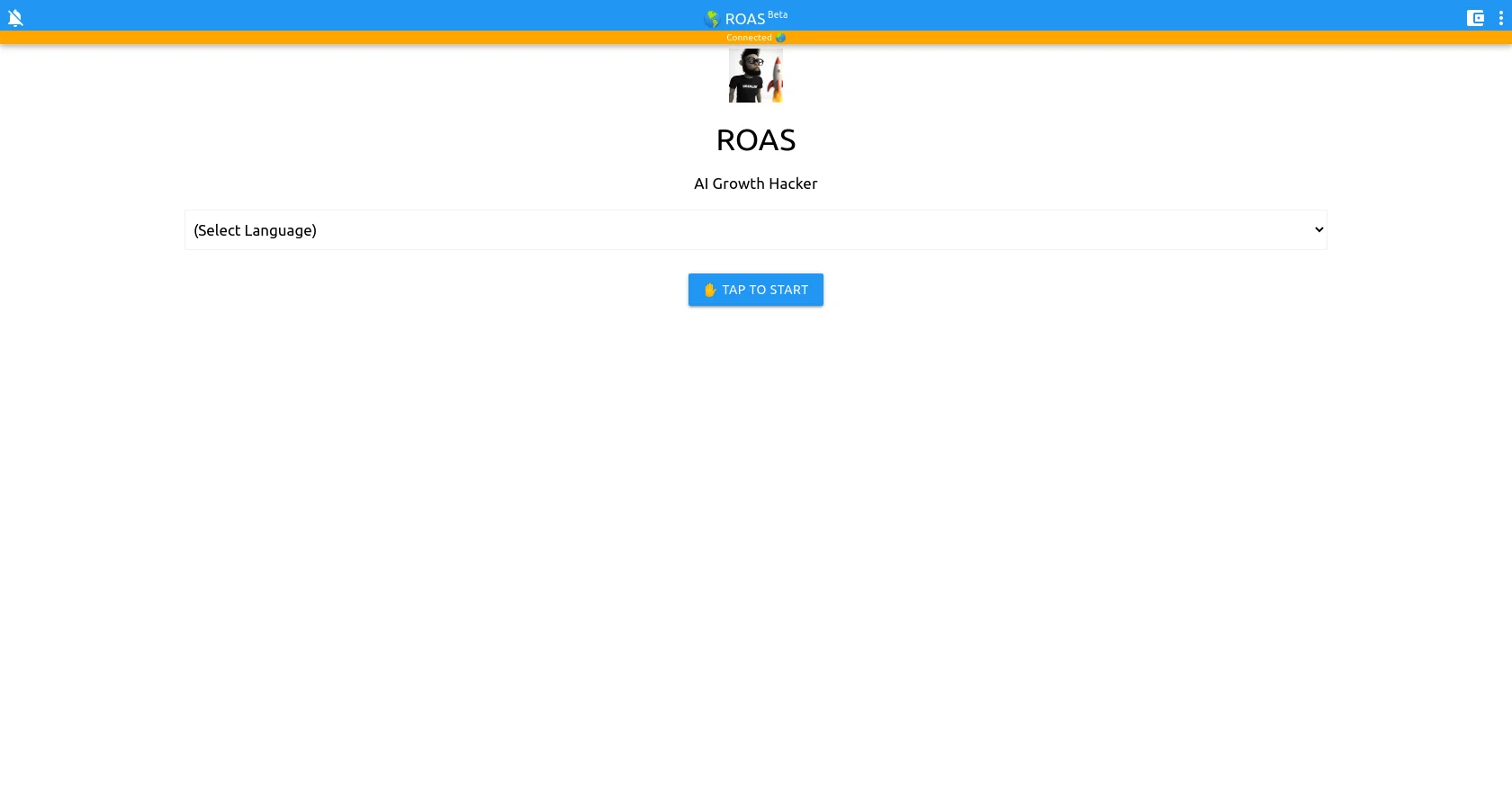ROAS screenshot