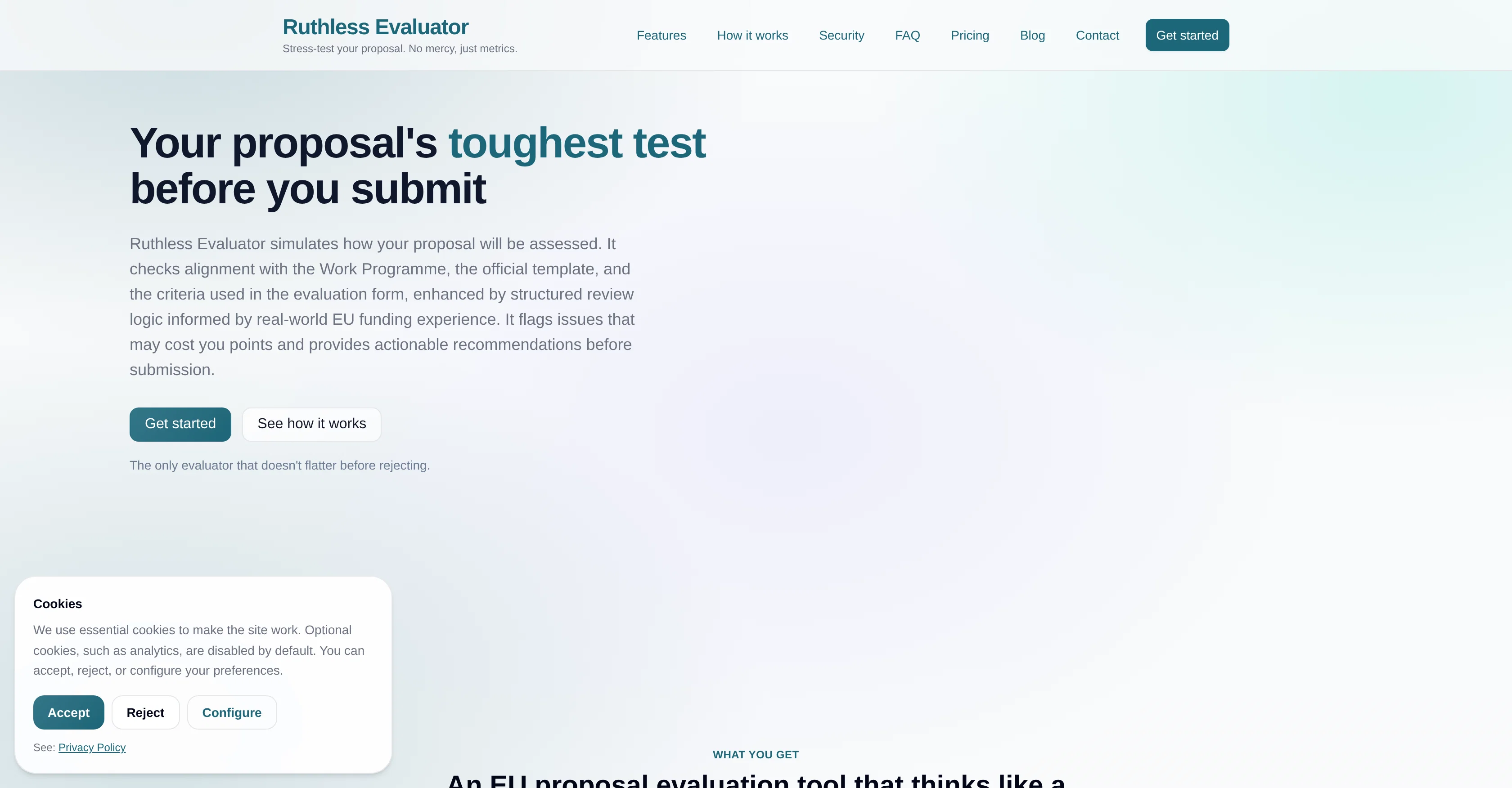 Ruthless Evaluator screenshot