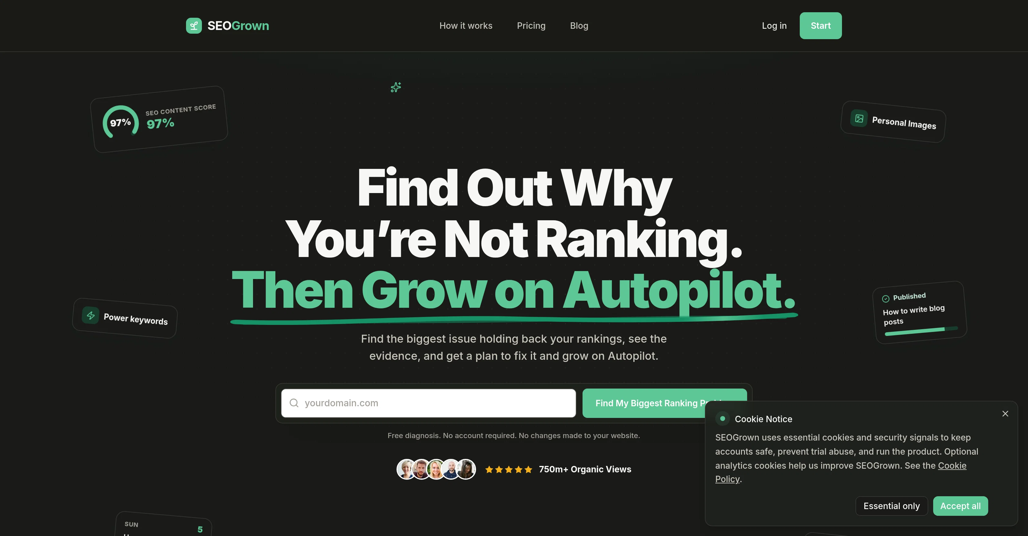 SEOGrown screenshot