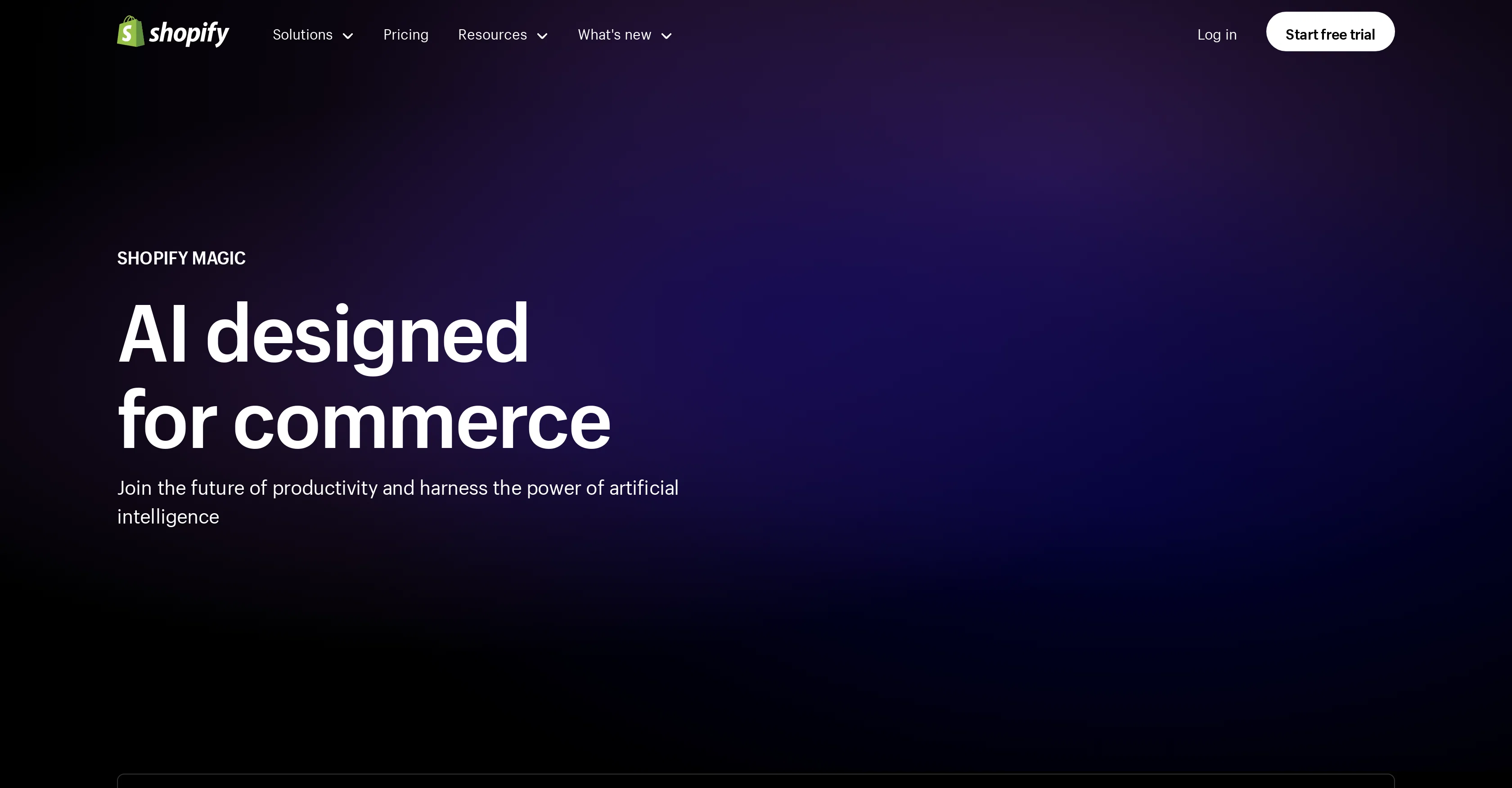 Shopify Sidekick screenshot