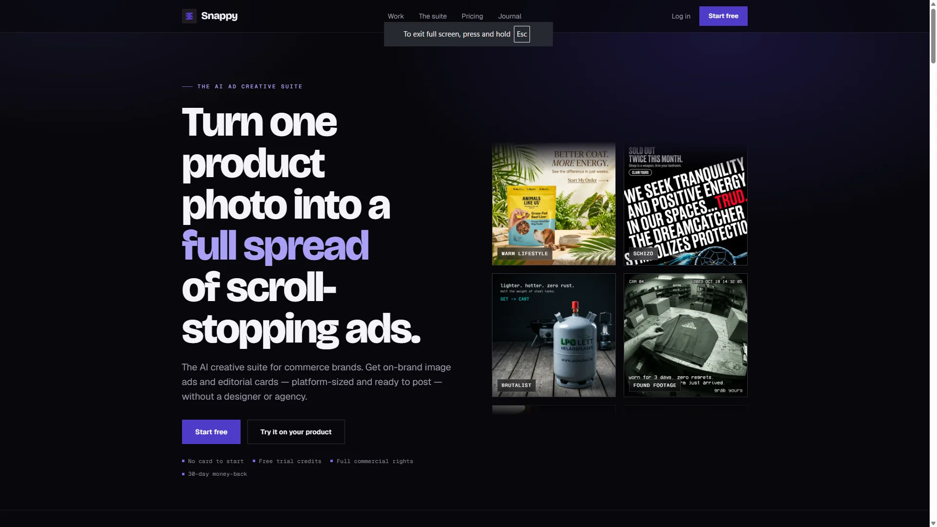 Snappy Ads screenshot