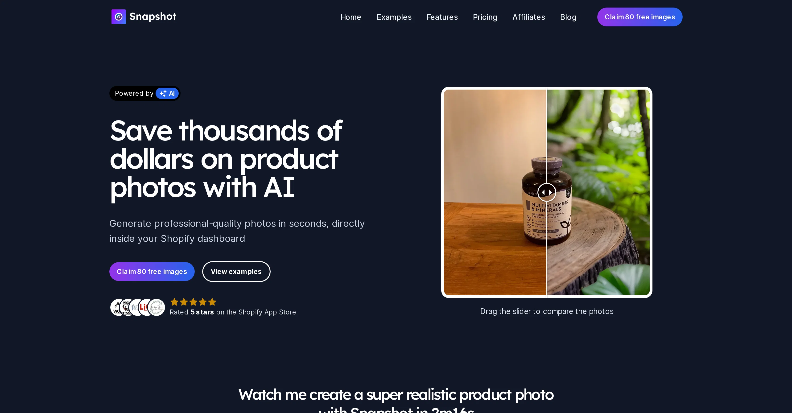 Snapshot screenshot