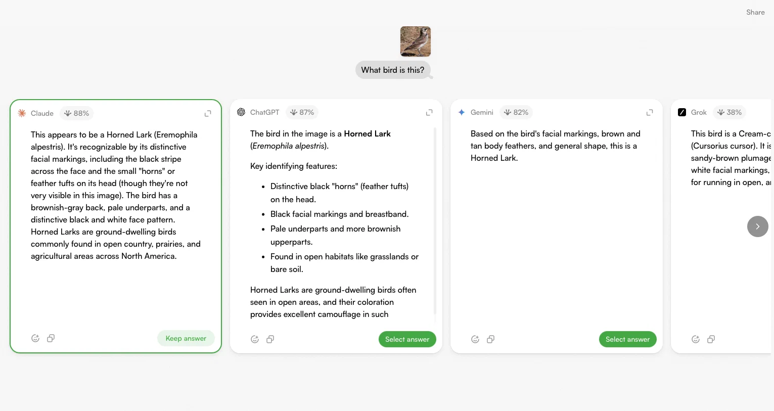 TopFrog screenshot