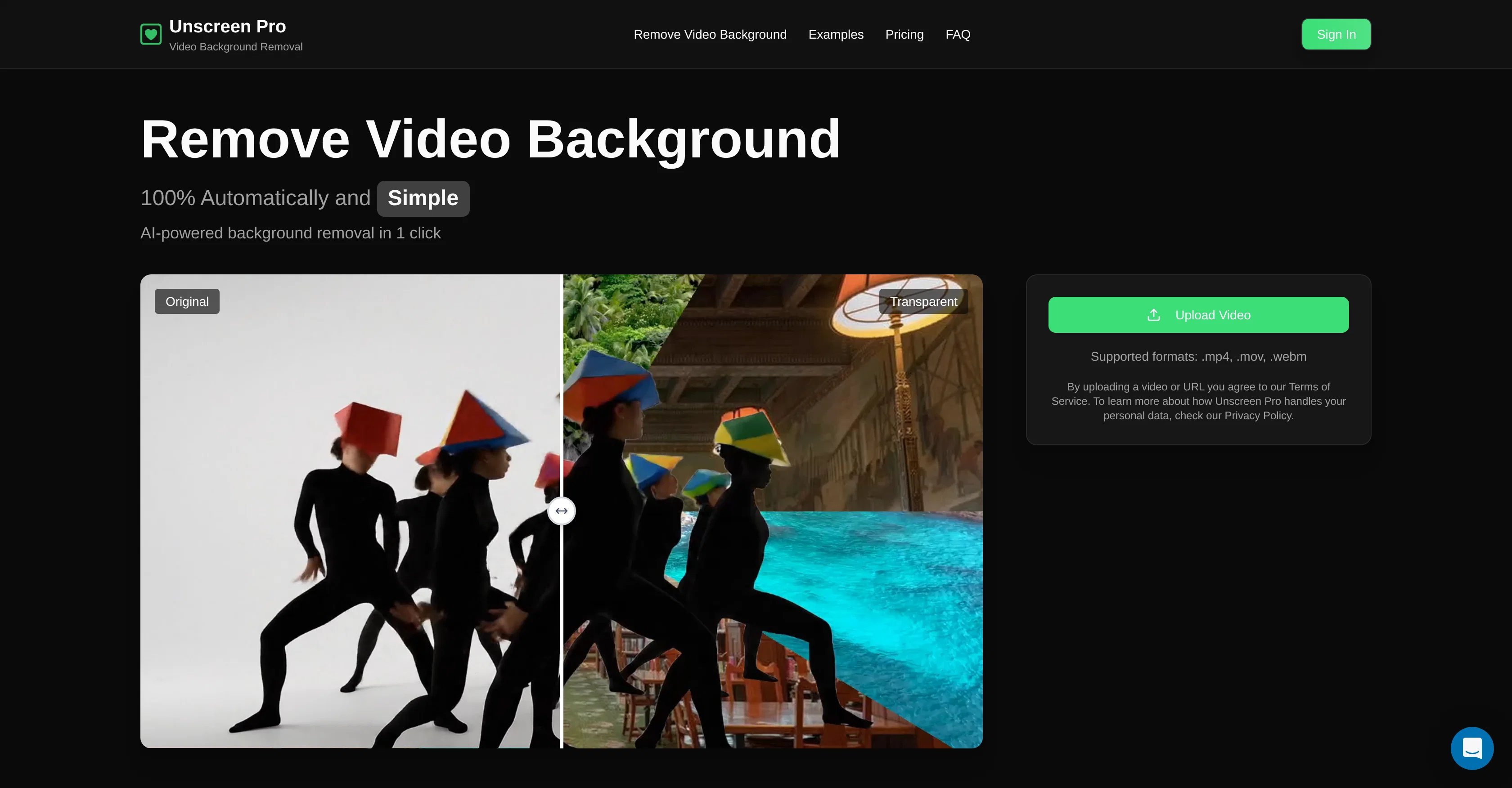 Unscreen Pro screenshot