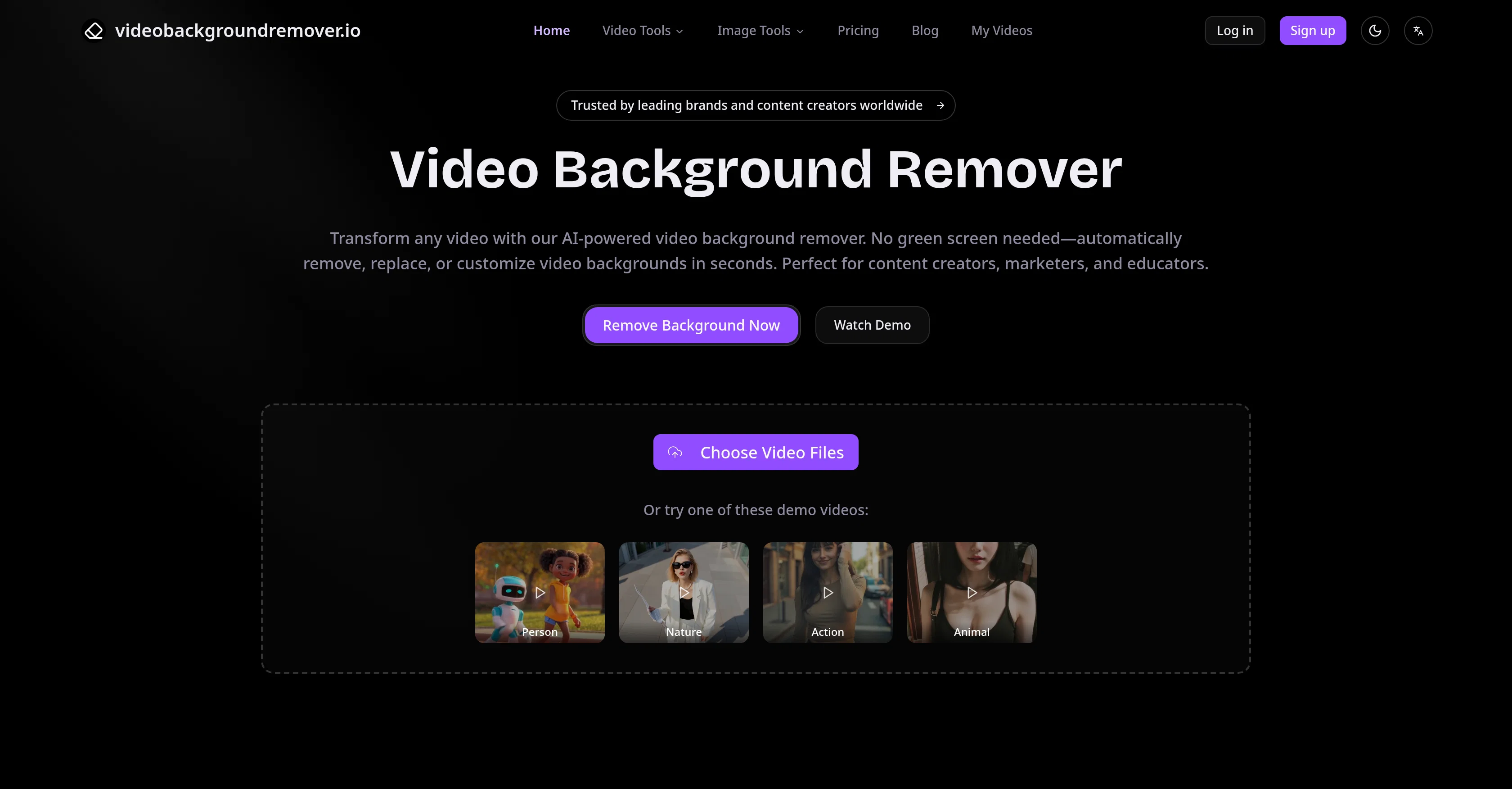 Video Background Remover screenshot