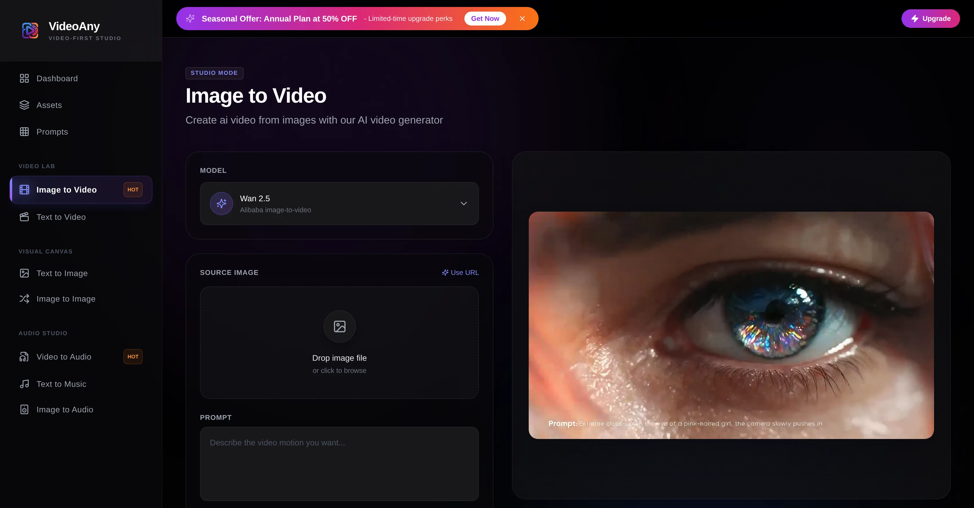 VideoAny Image to Video screenshot