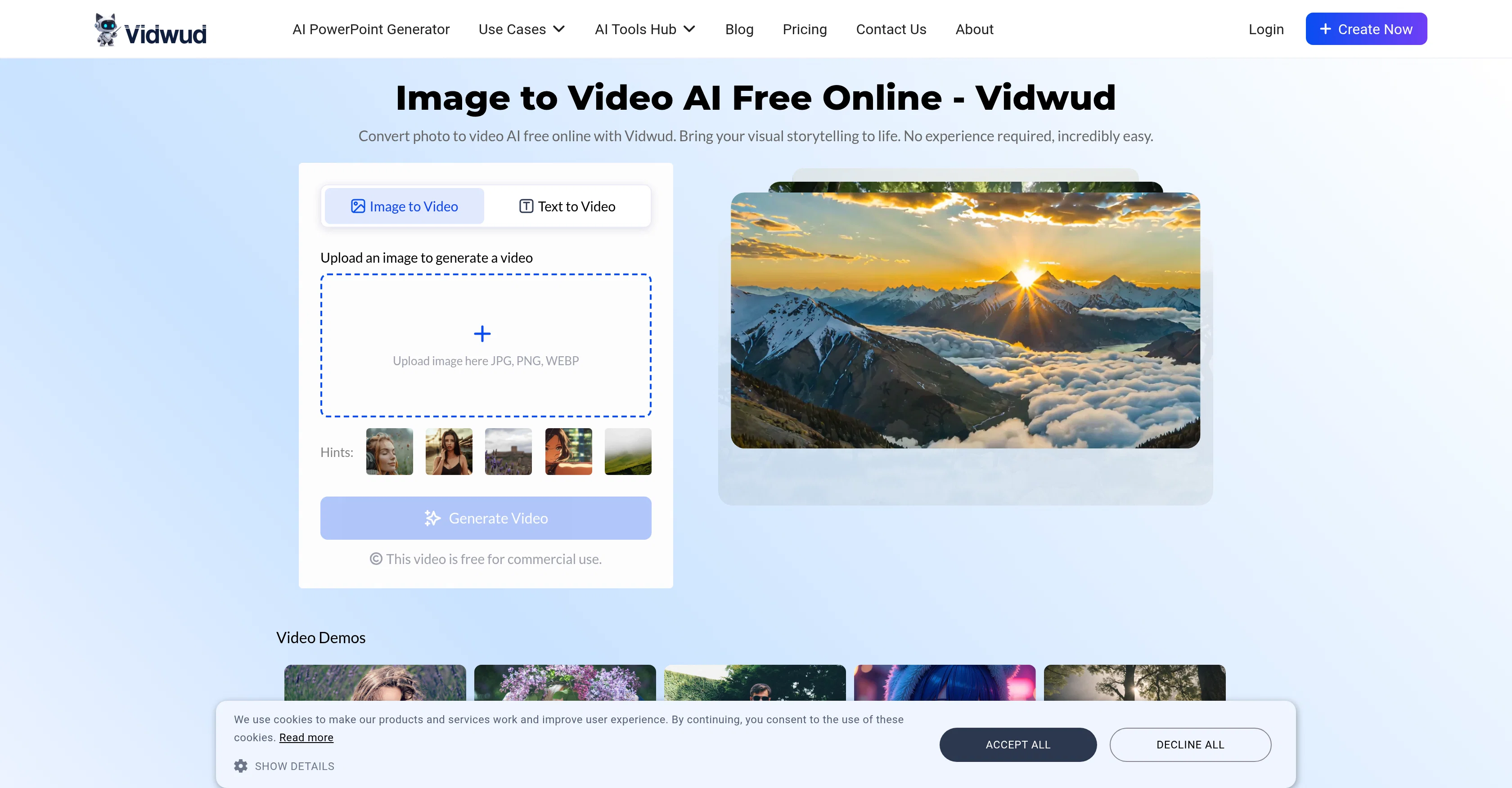 Vidwud screenshot