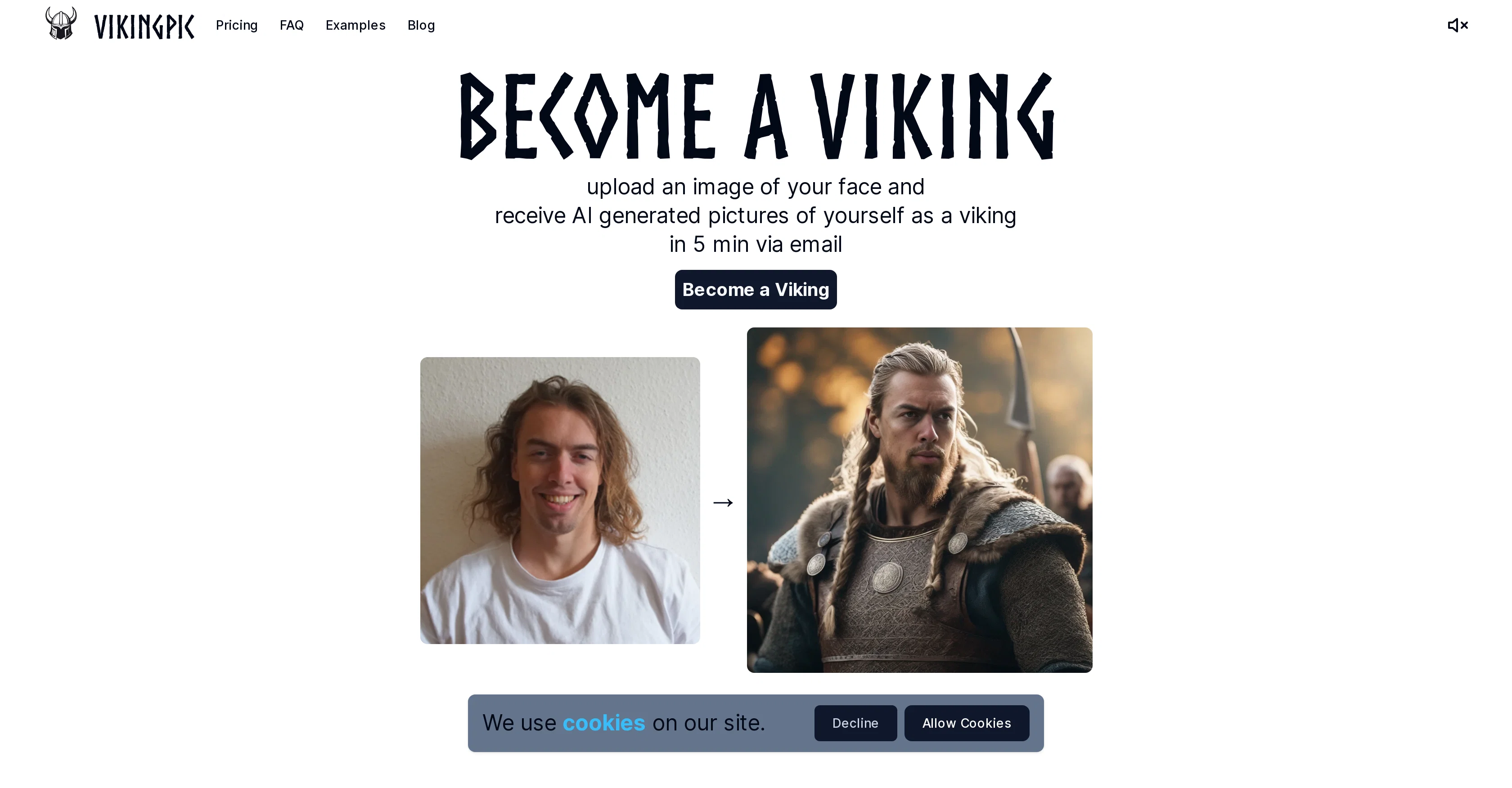 VikingPic screenshot