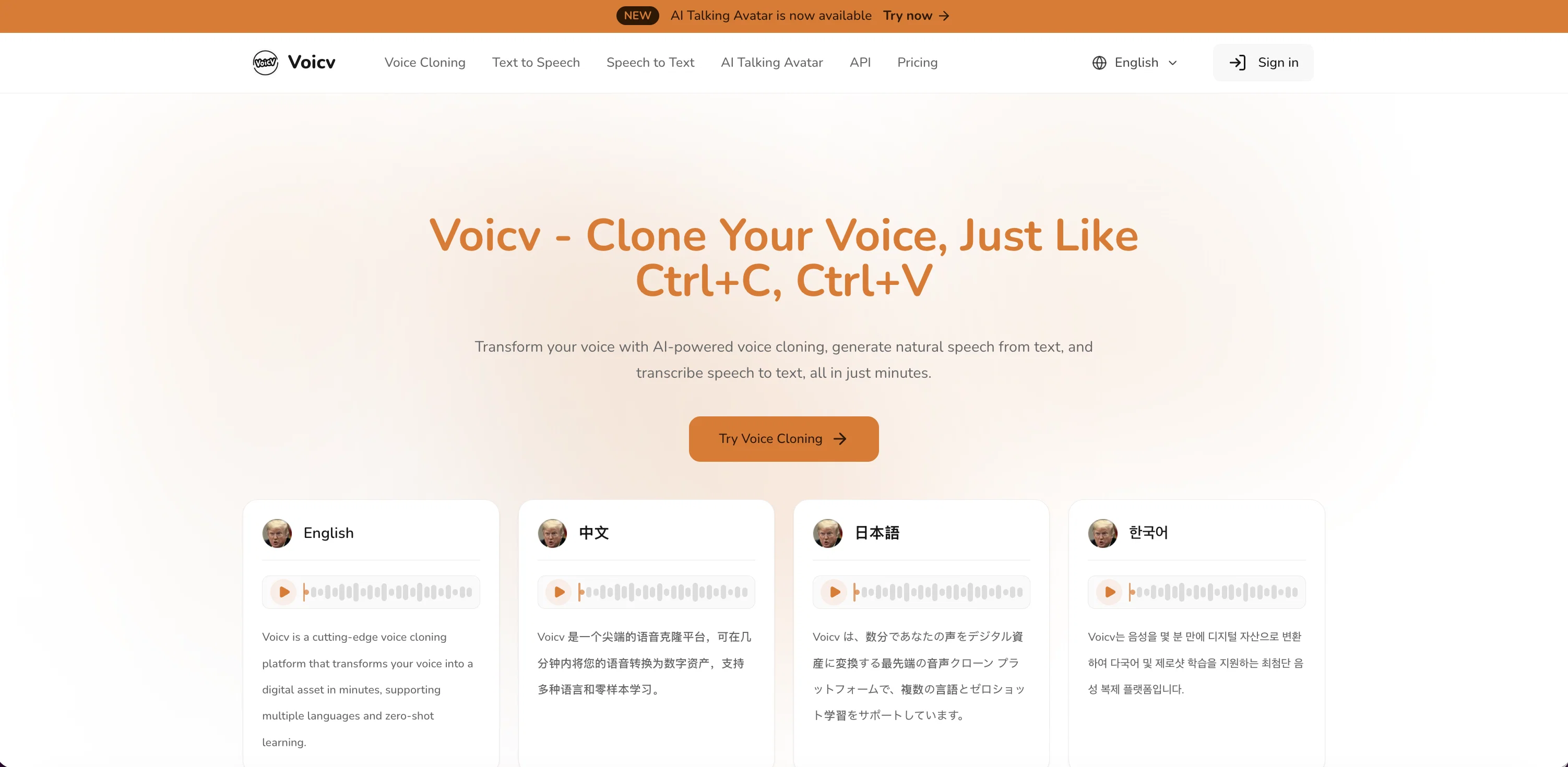 Voicv screenshot